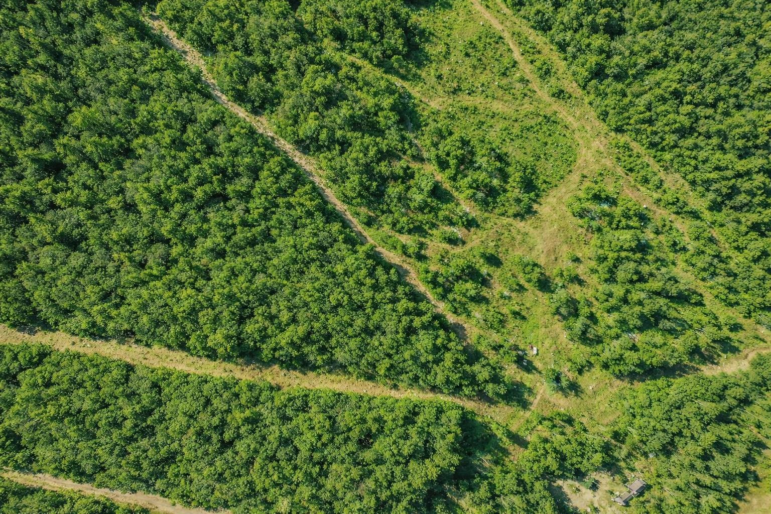 0 Nh Route 103 Property Photo 5