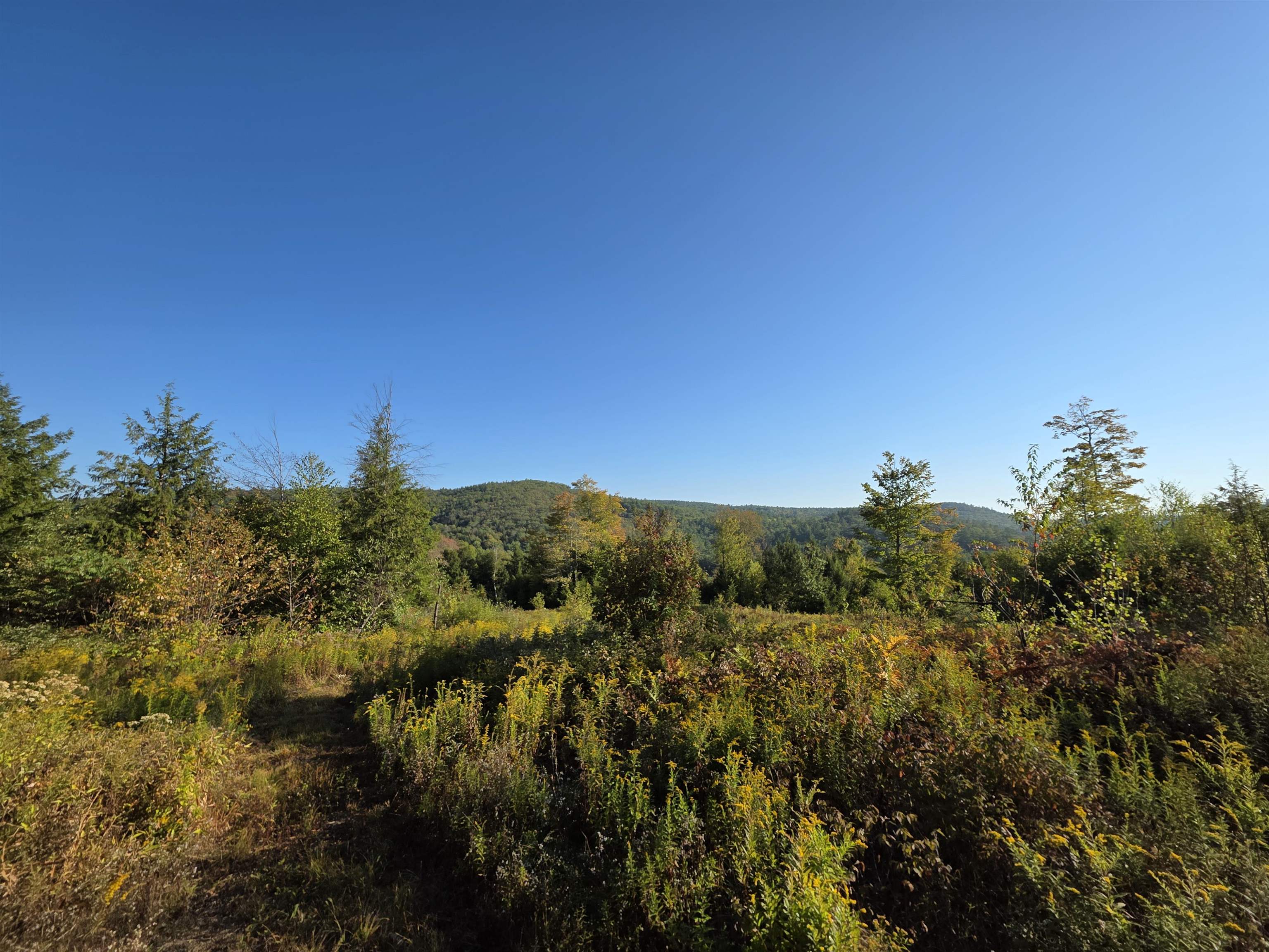 0 Nh Route 103 Property Photo 7
