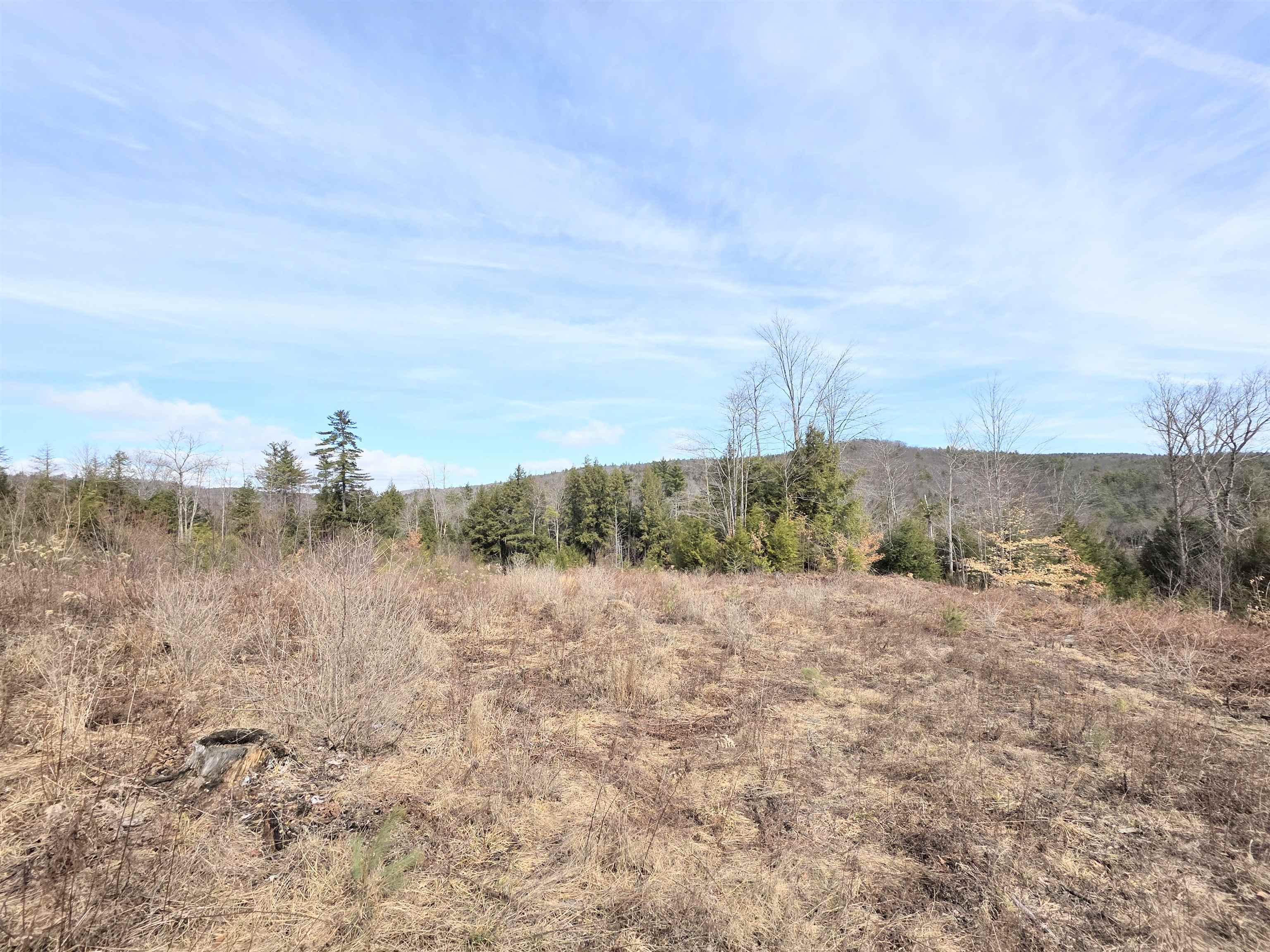 0 Nh Route 103 Property Photo 8