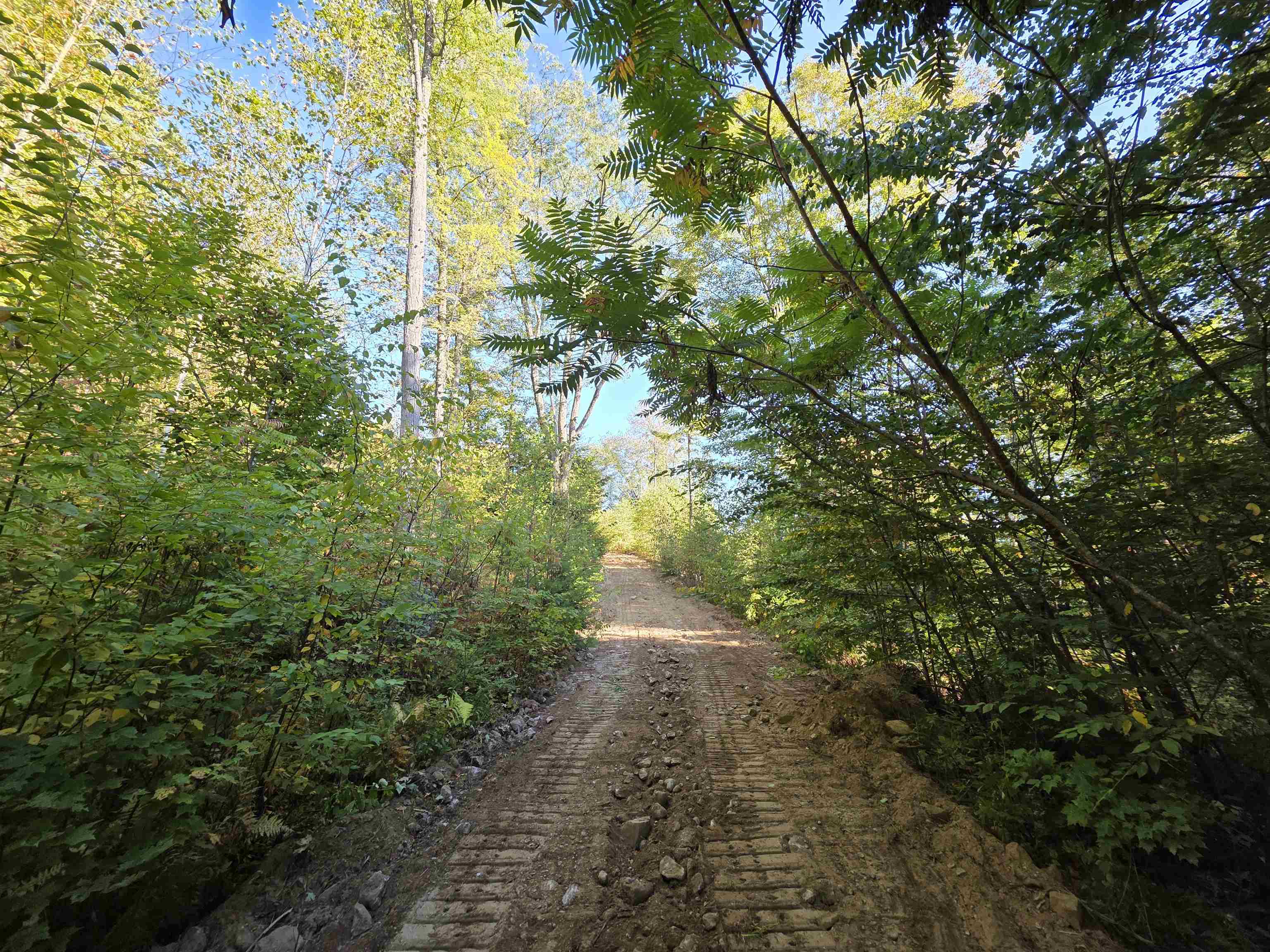 0 Nh Route 103 Property Photo 9