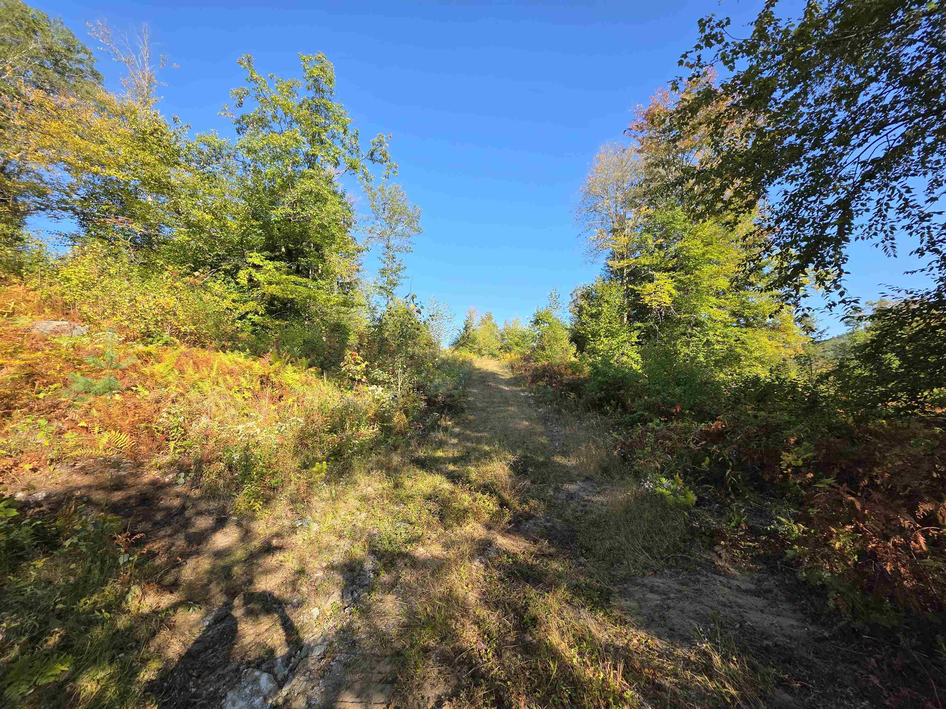 0 Nh Route 103 Property Photo 10