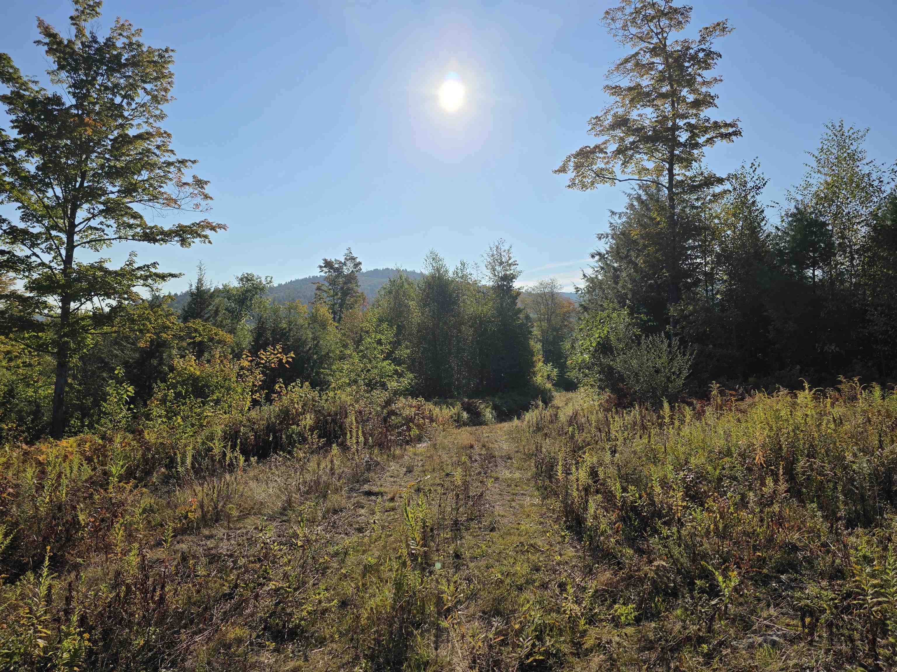 0 Nh Route 103 Property Photo 11