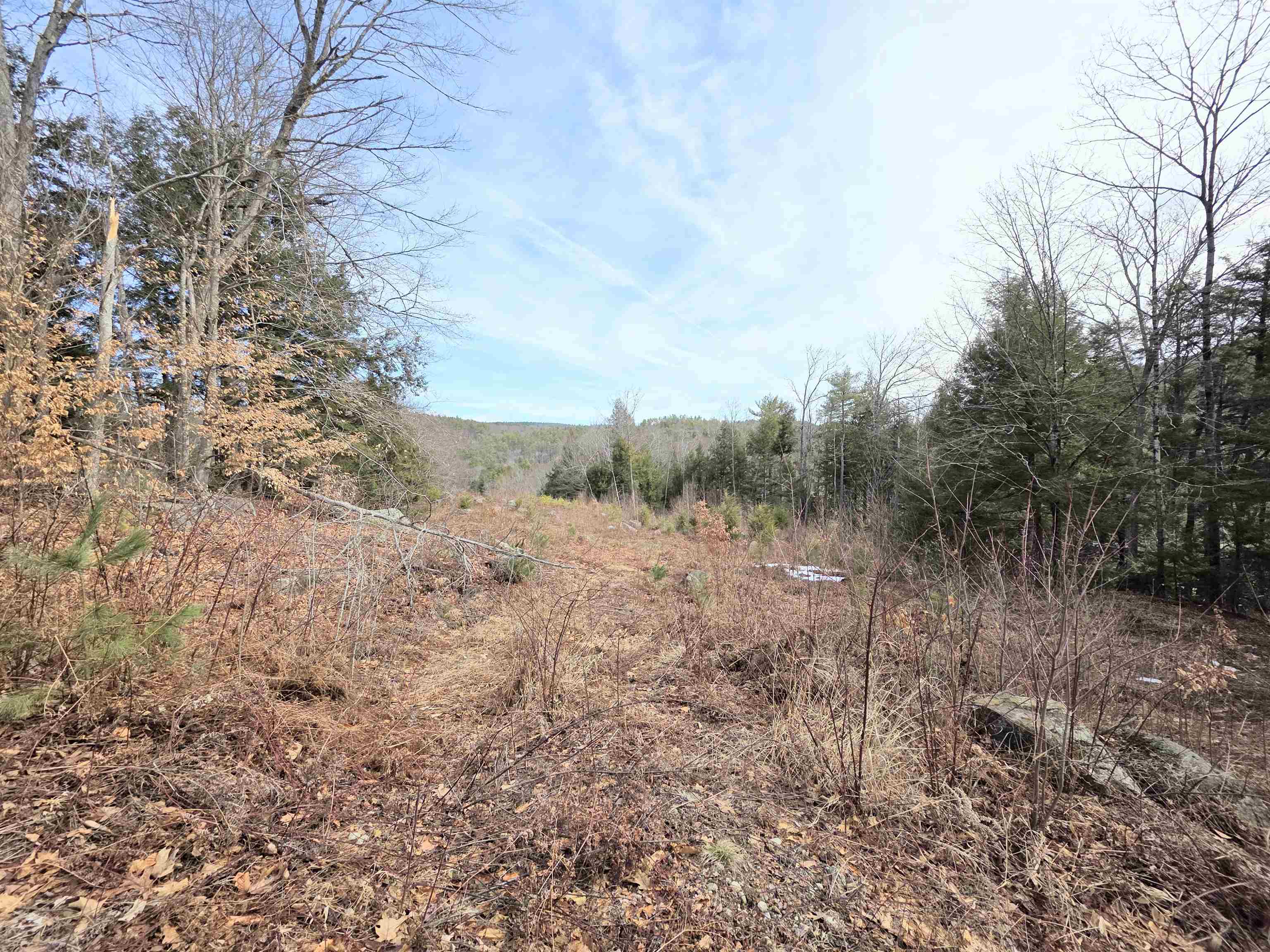 0 Nh Route 103 Property Photo 12