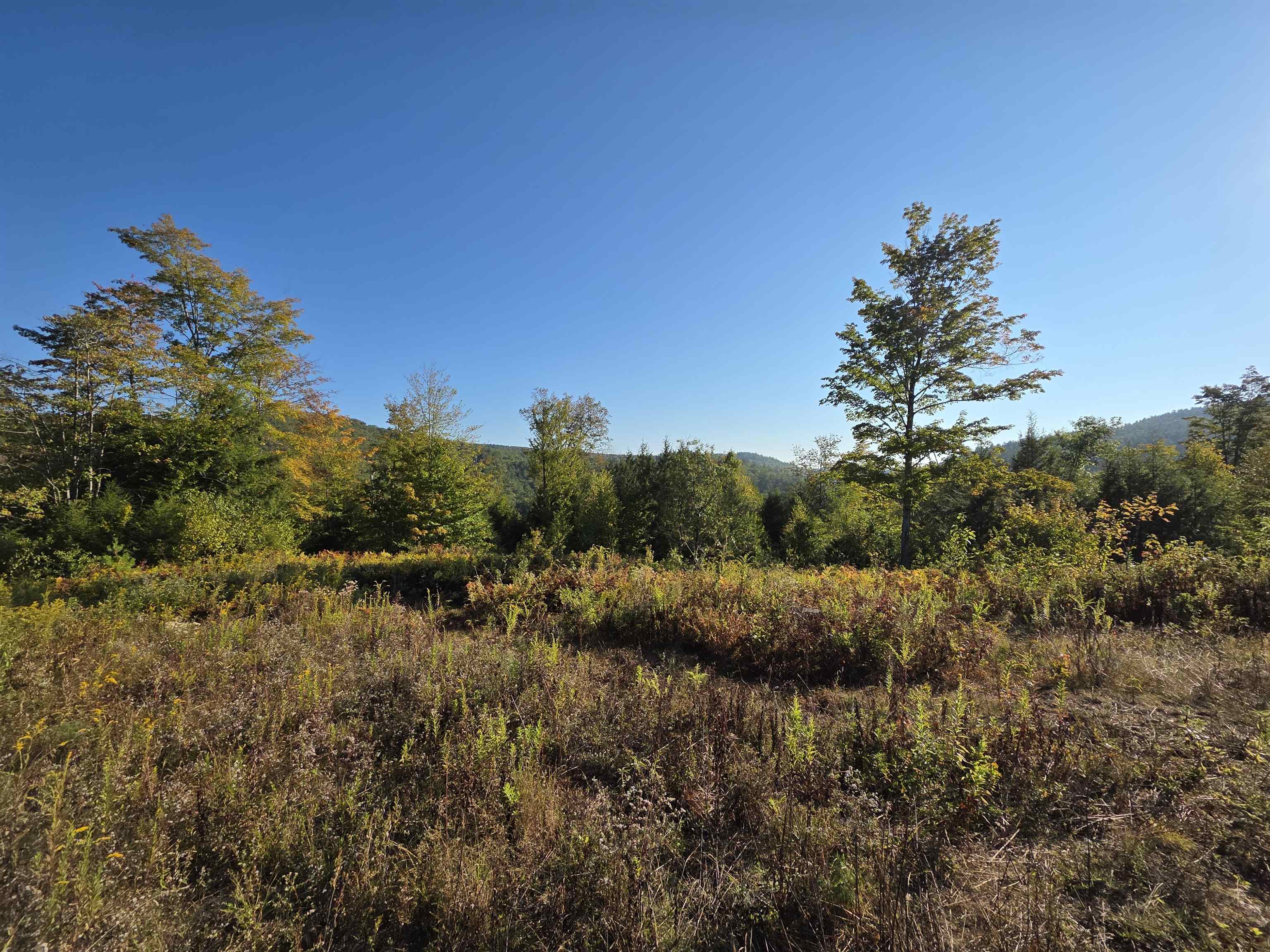 0 Nh Route 103 Property Photo 16