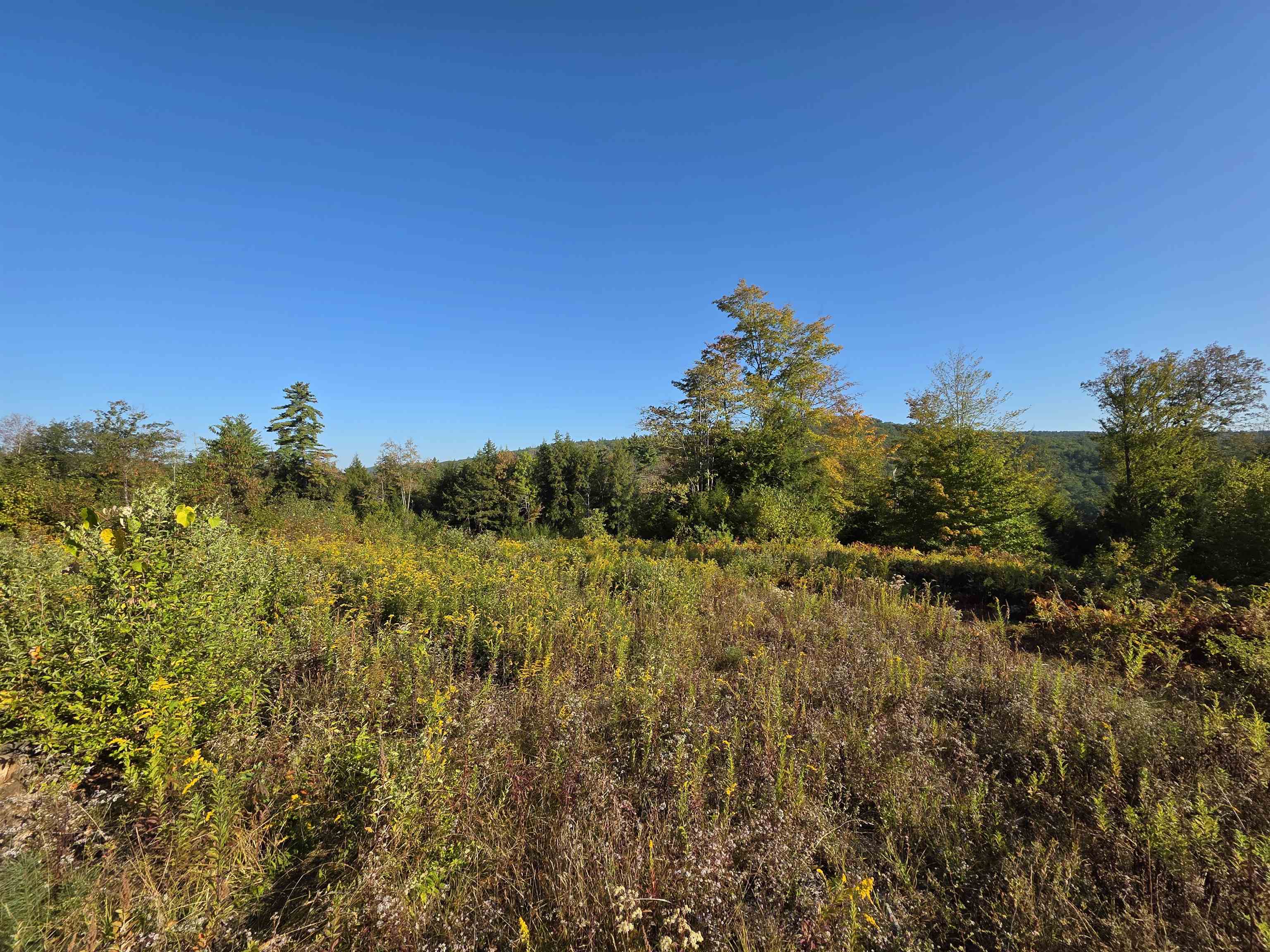0 Nh Route 103 Property Photo 19