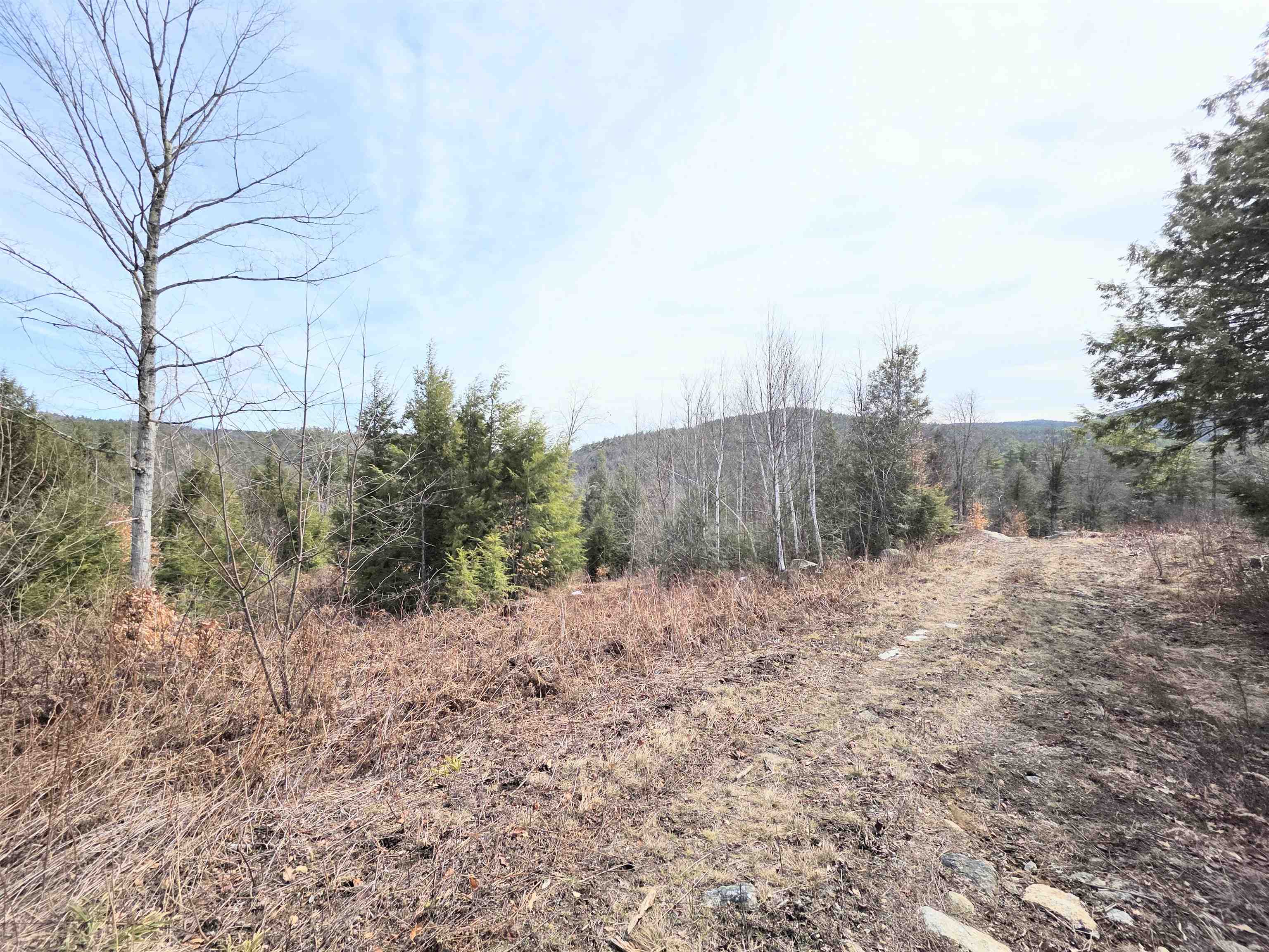 0 Nh Route 103 Property Photo 20
