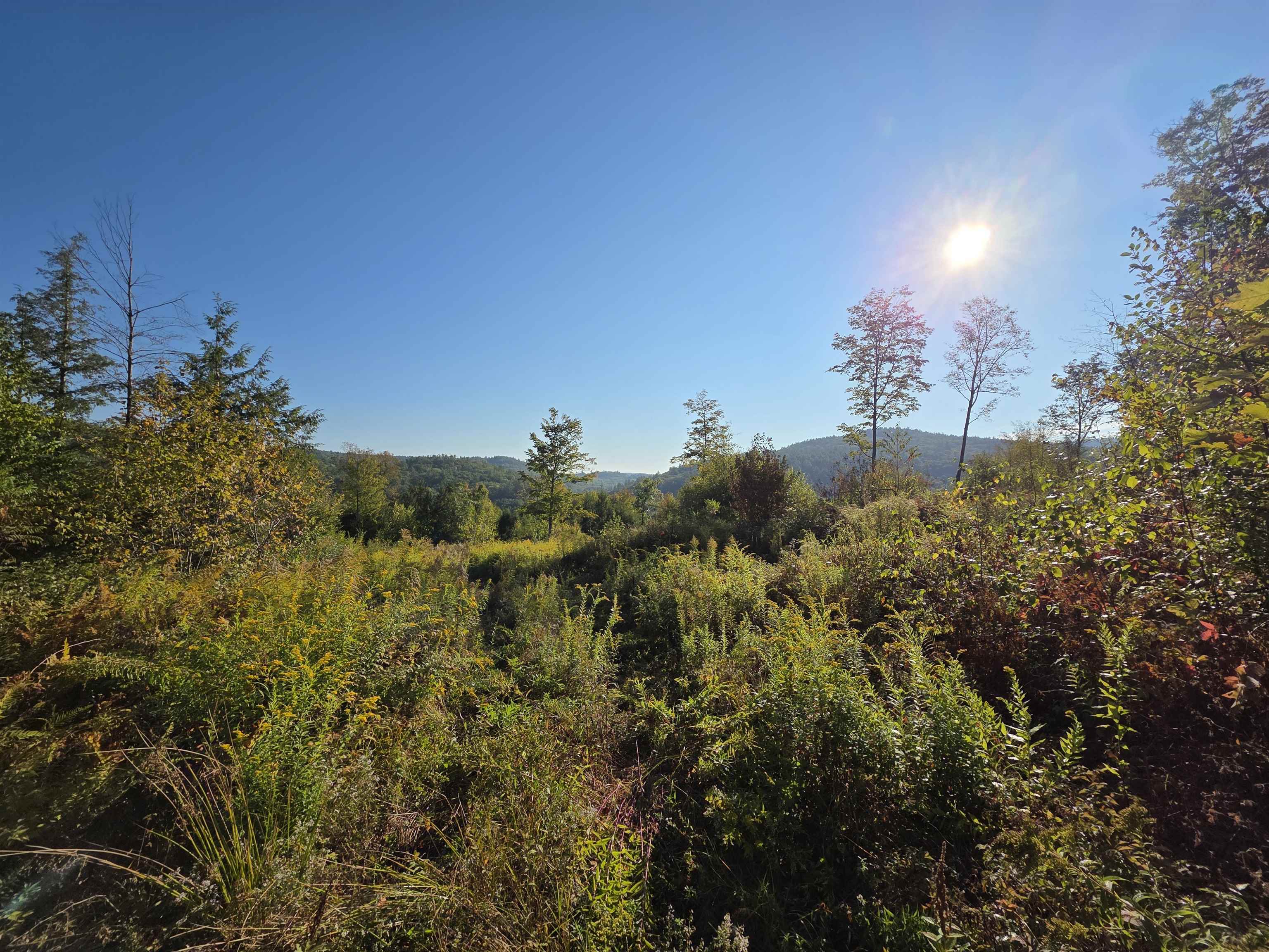 0 Nh Route 103 Property Photo 22