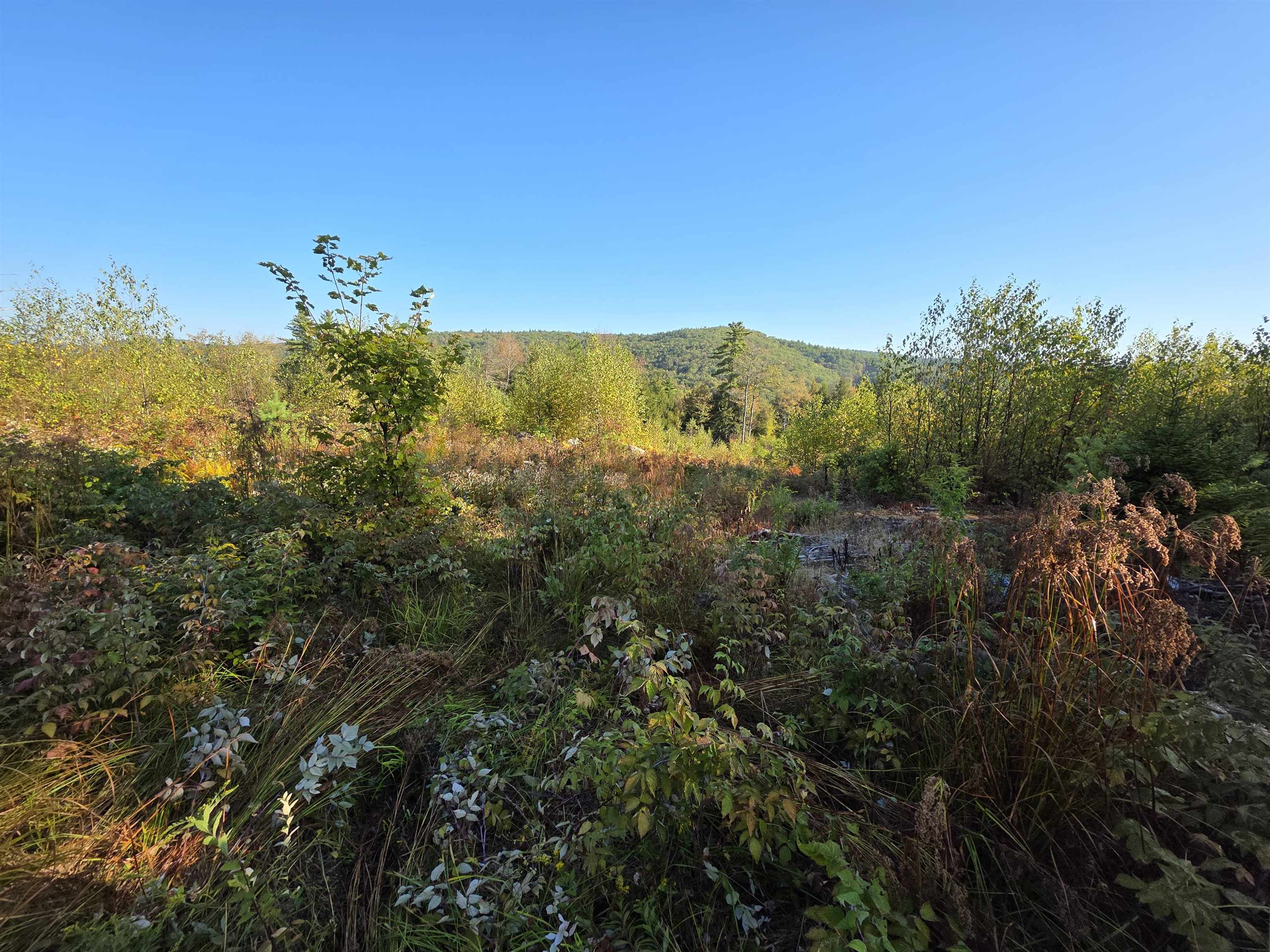 0 Nh Route 103 Property Photo 23