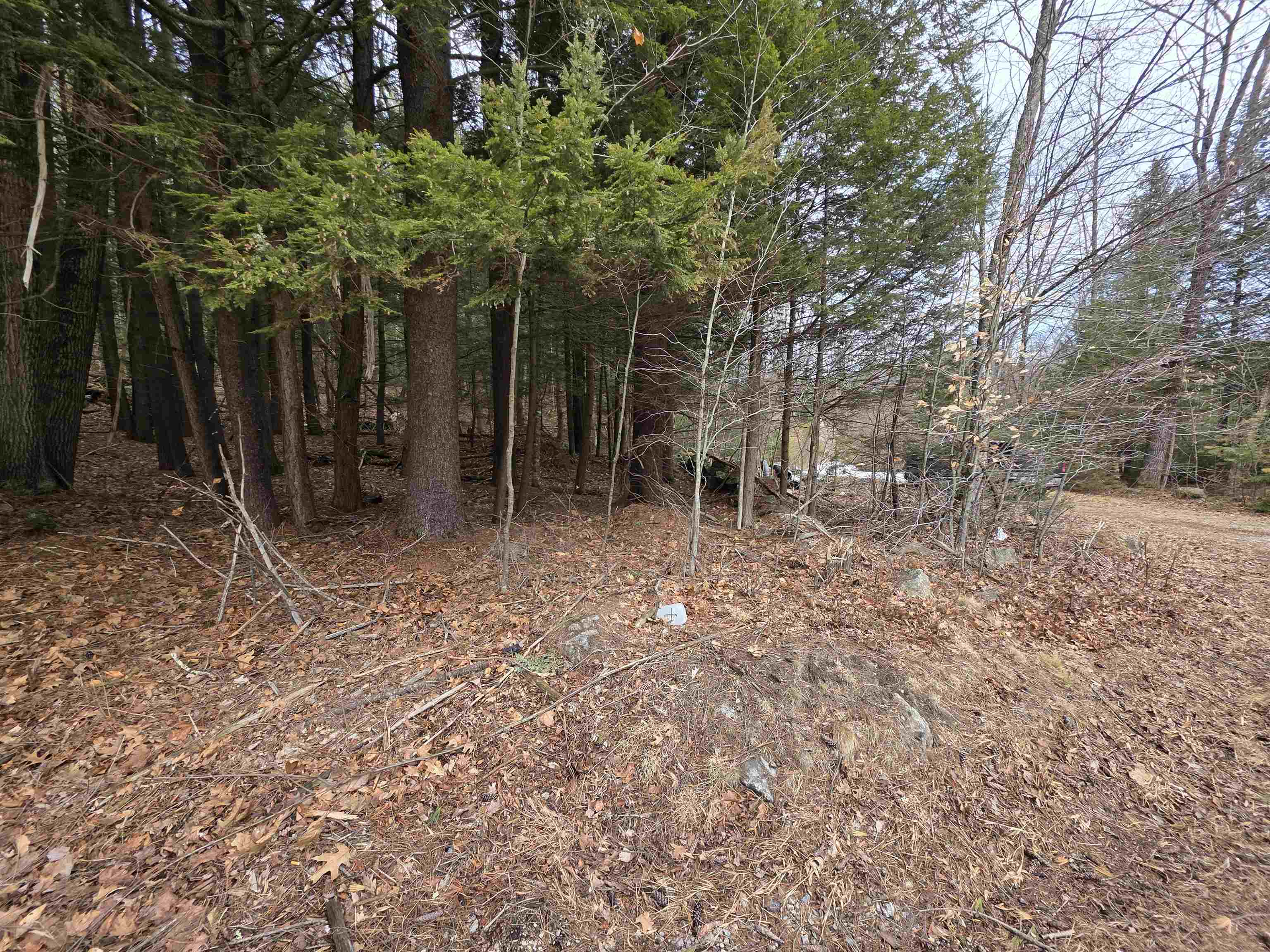 0 Nh Route 103 Property Photo 27