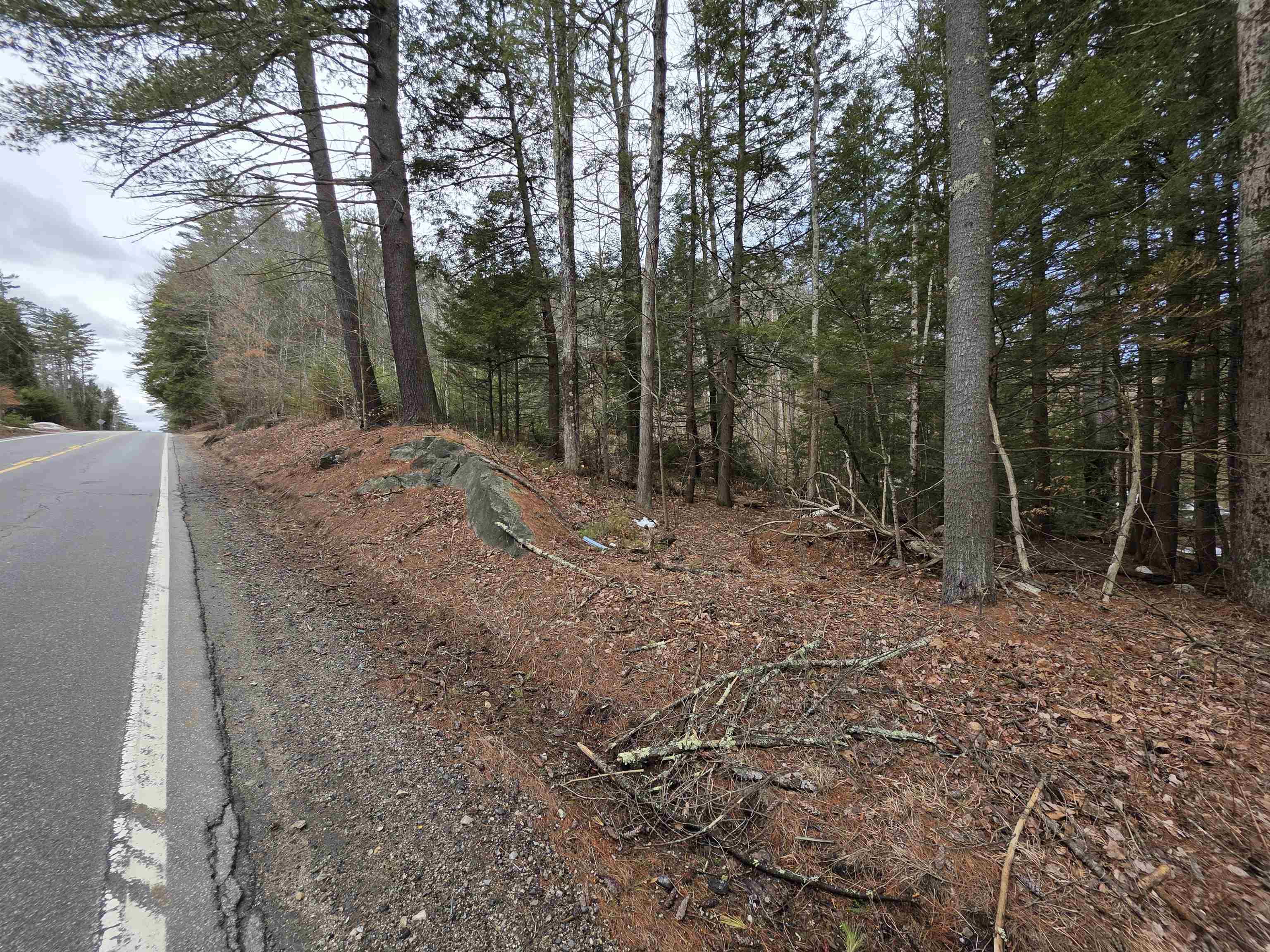 0 Nh Route 103 Property Photo 29