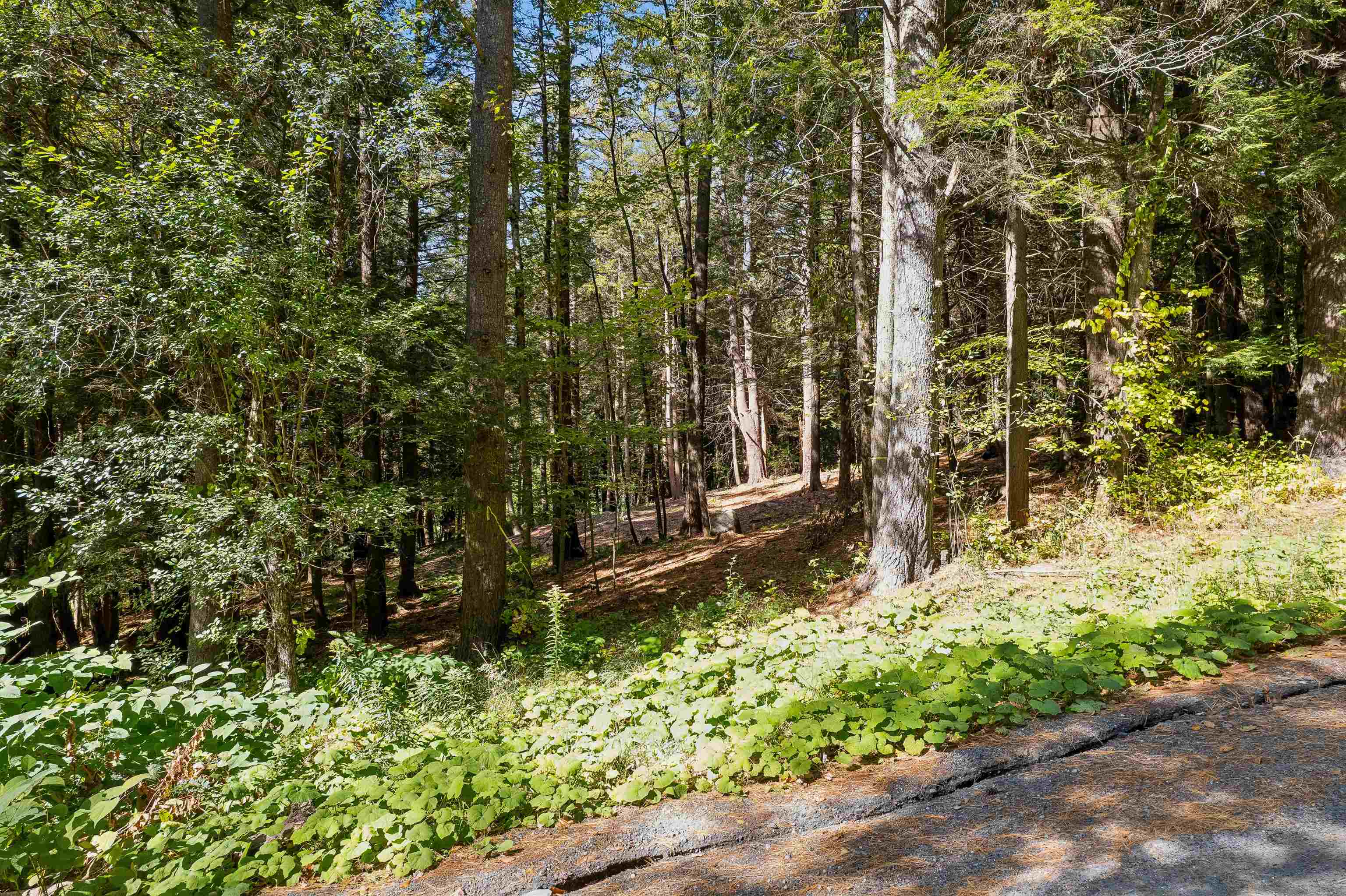 0 And 2.5 Balch Hill Lane Property Photo 16