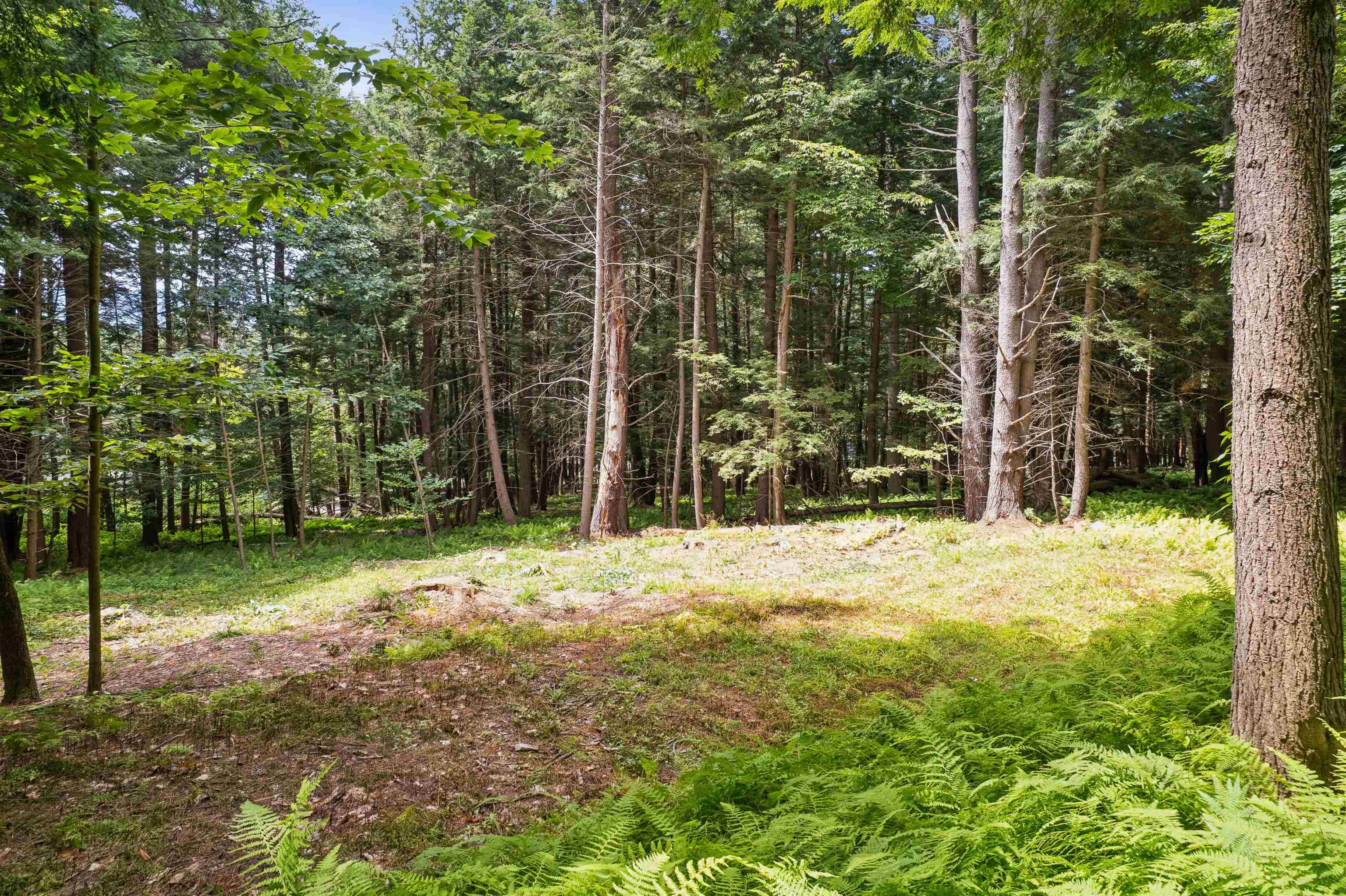 0 And 2.5 Balch Hill Lane Property Photo 36