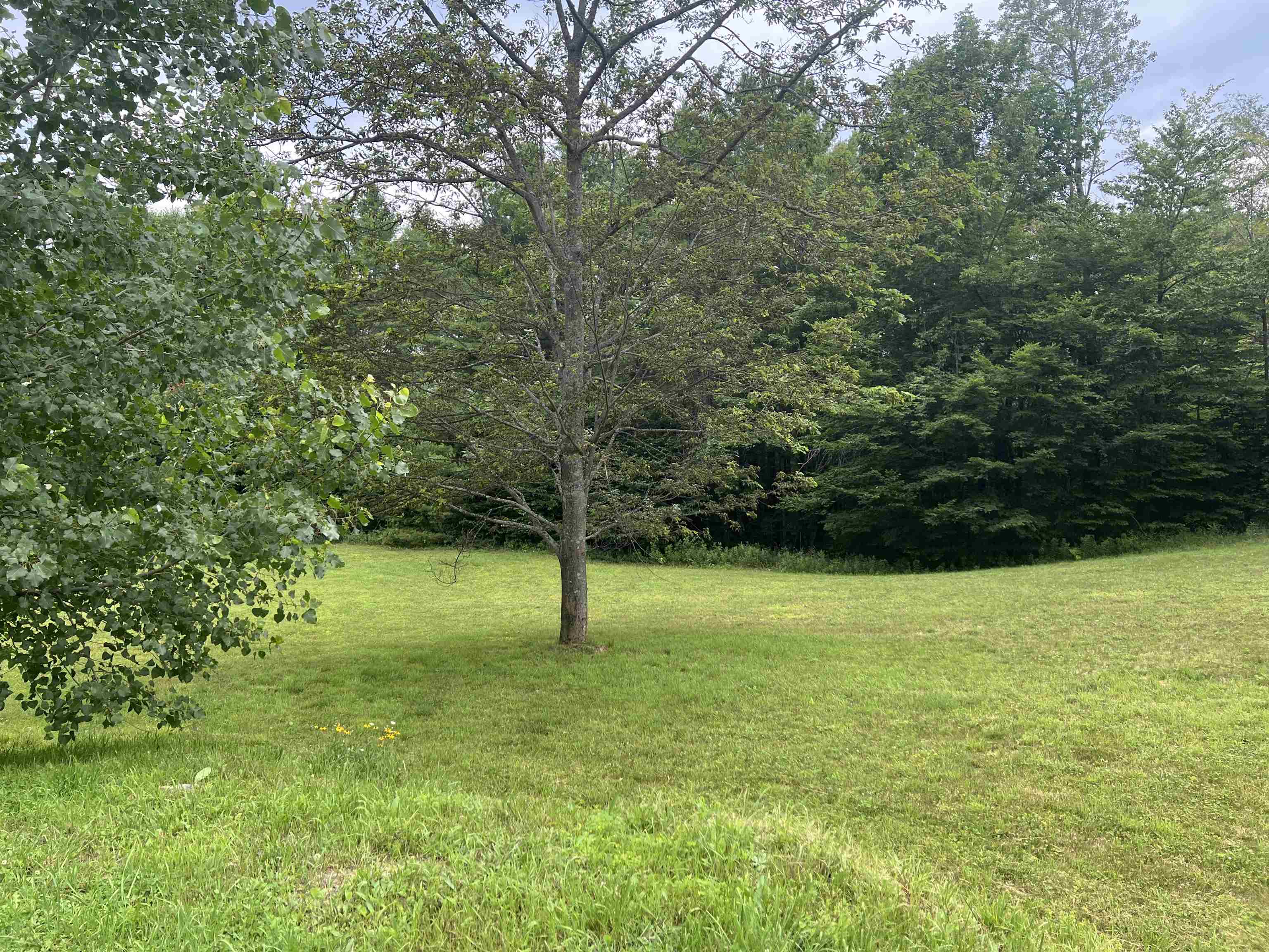 133 Stagecoach Road Property Photo 14