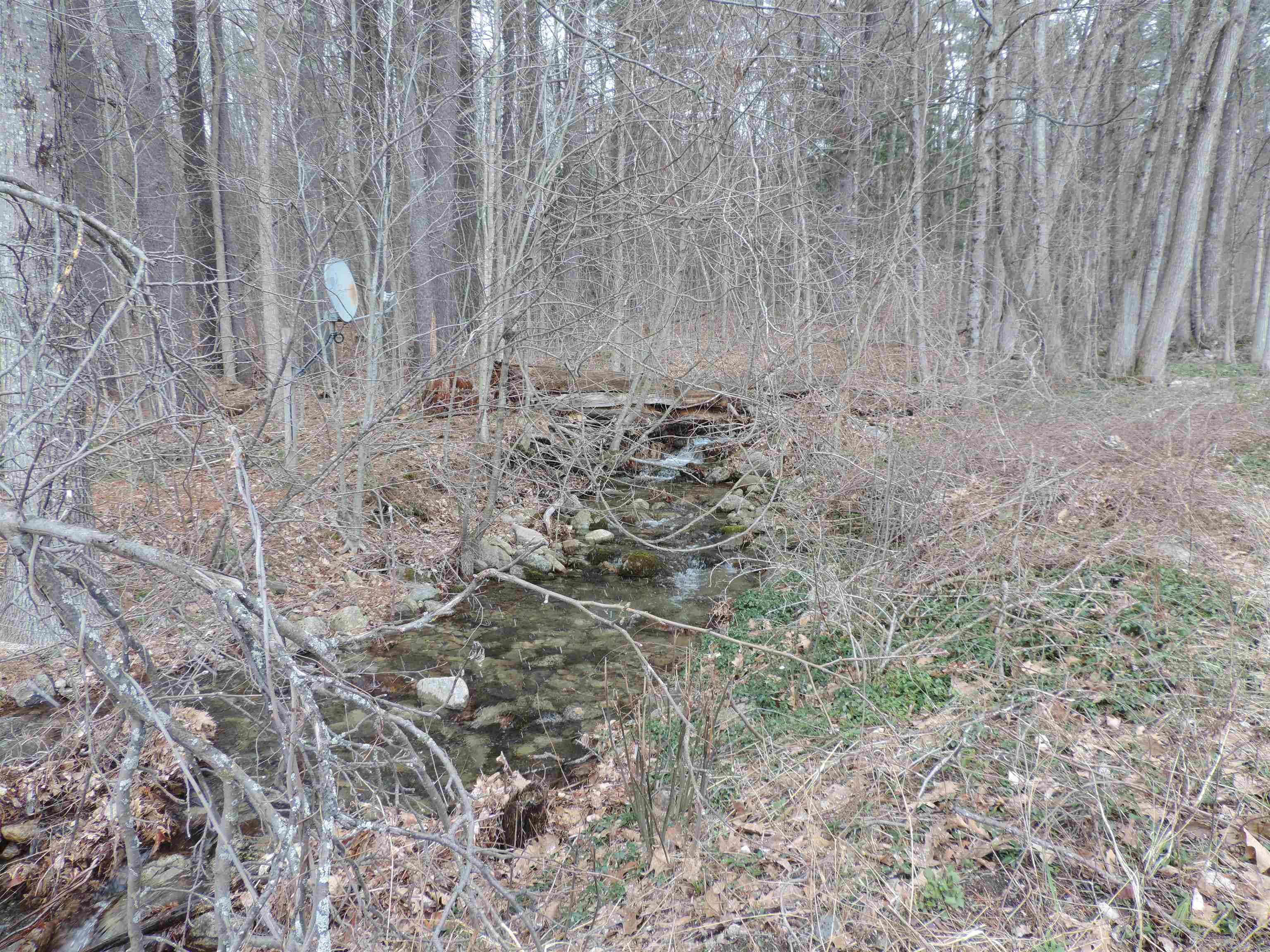 445 Whittier Highway Property Photo 30