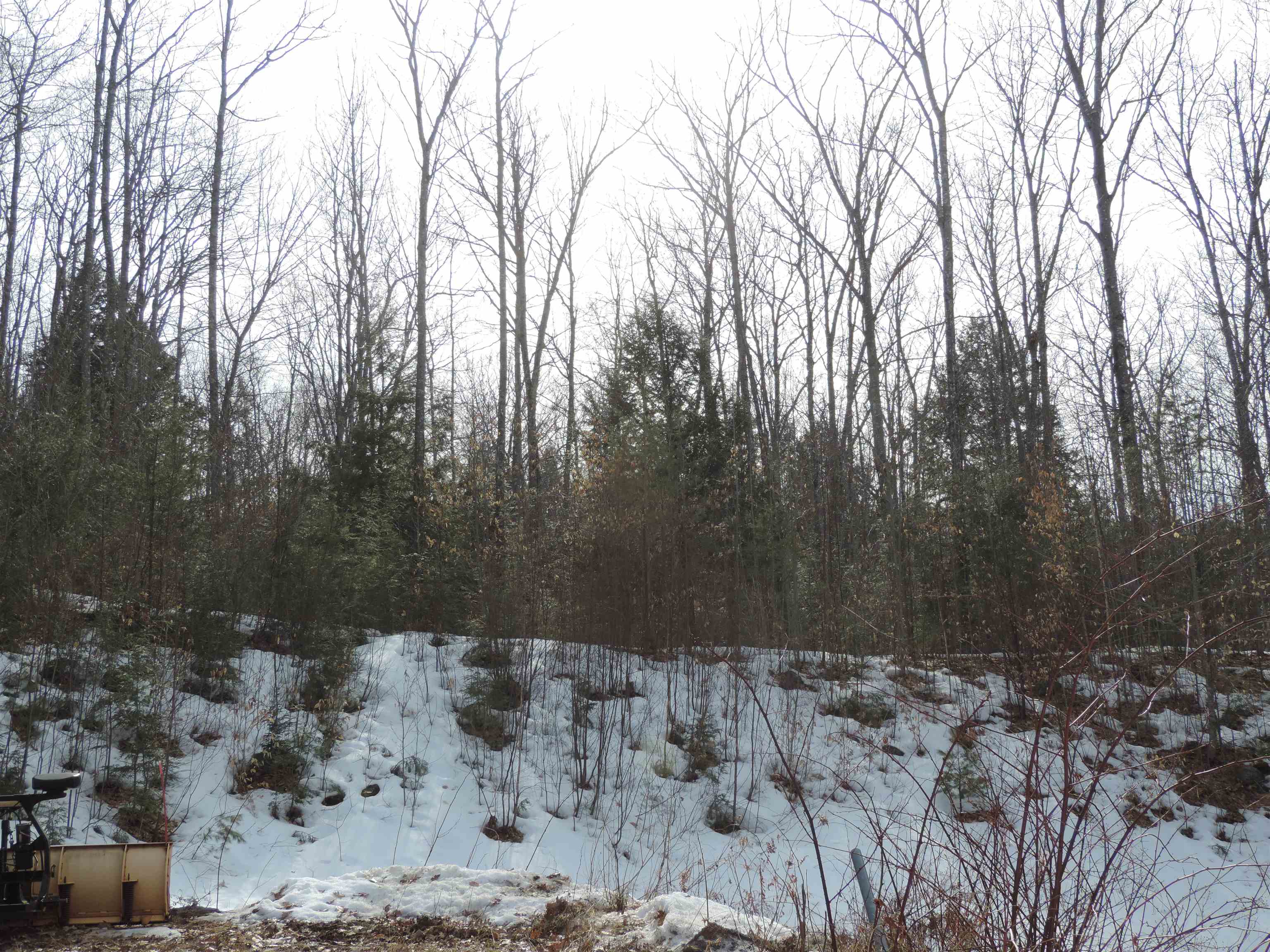 445 Whittier Highway Property Photo 39