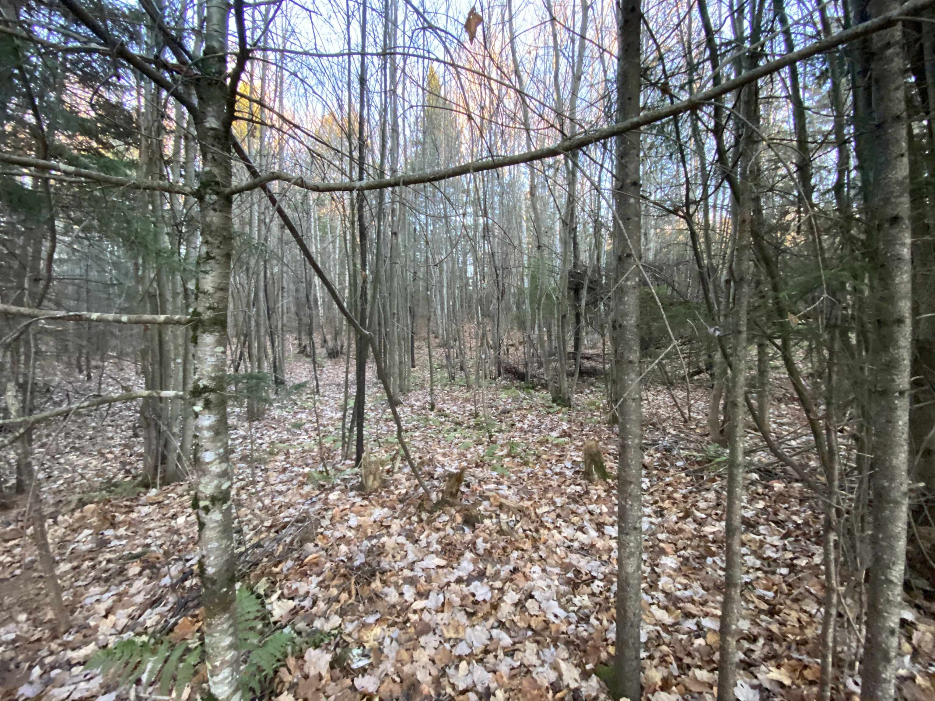 0 Washburn Road Property Photo 4