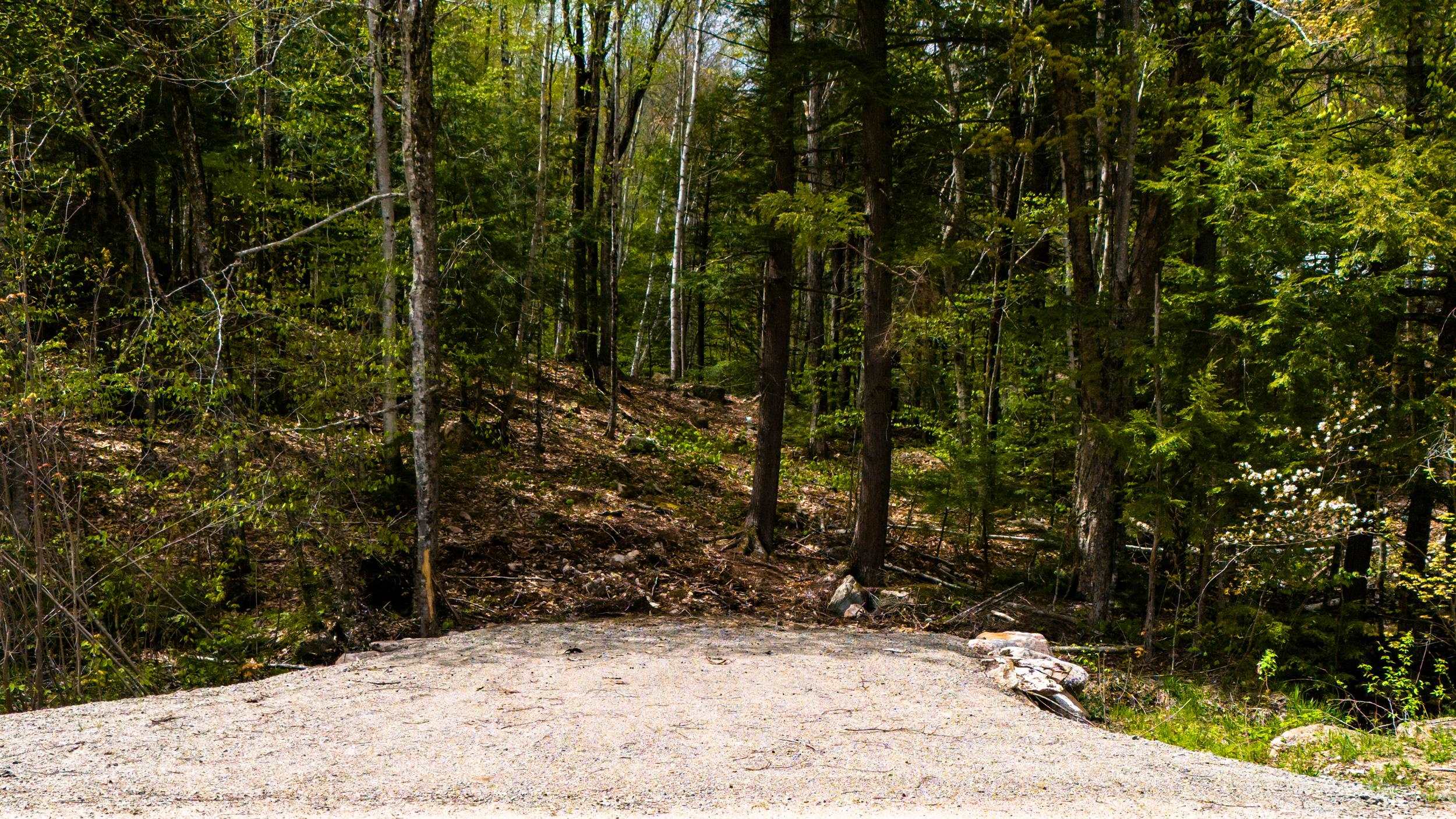 00 Ellis Ridge Road Property Photo 6