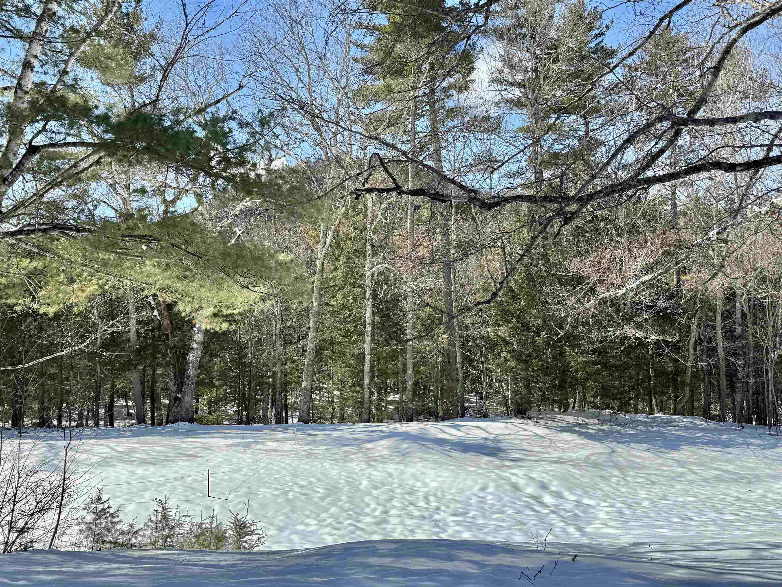 48 Linderhof Golf Course Road Property Photo 26