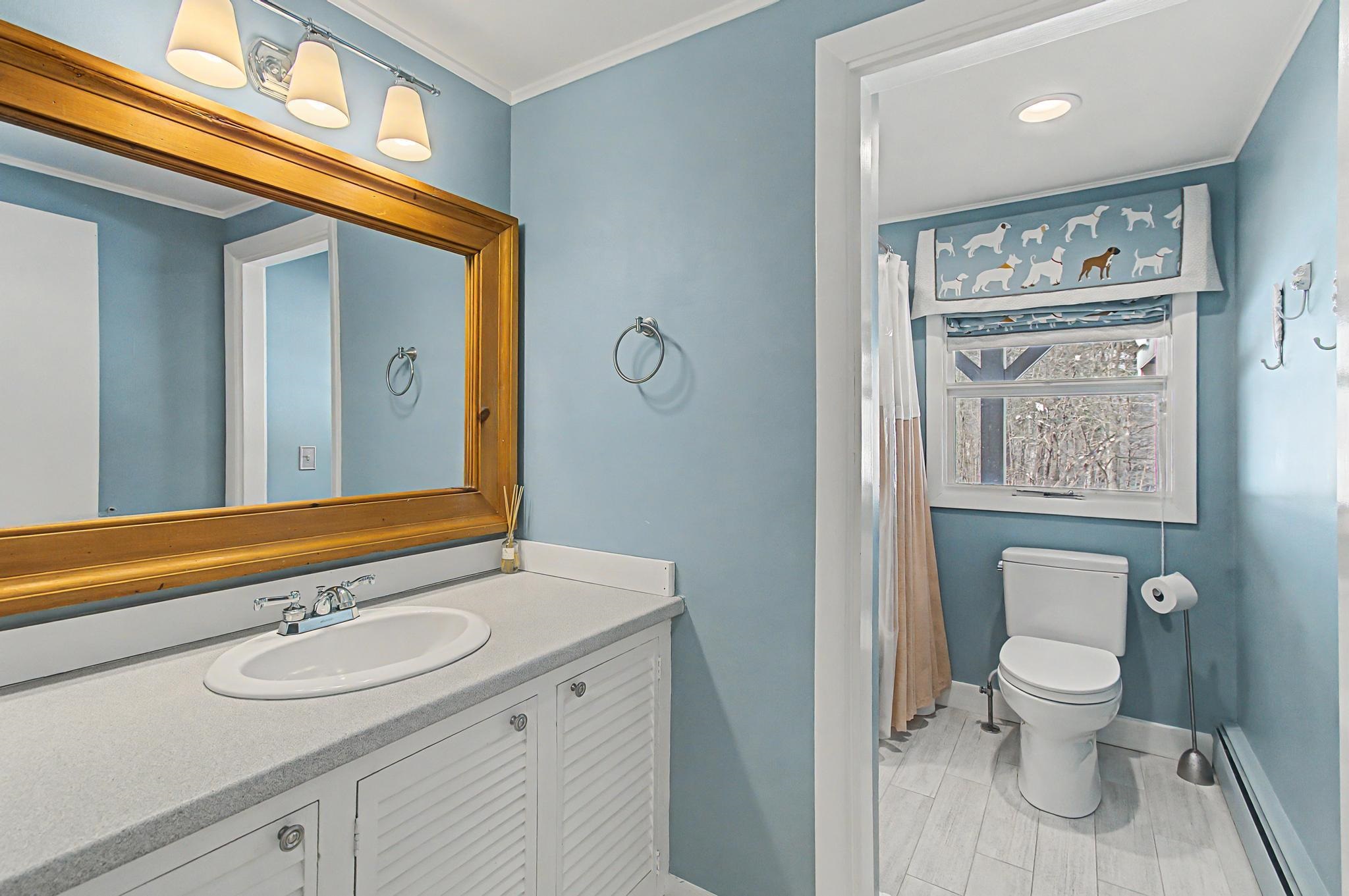 221 Brush Hill Road Property Photo 30