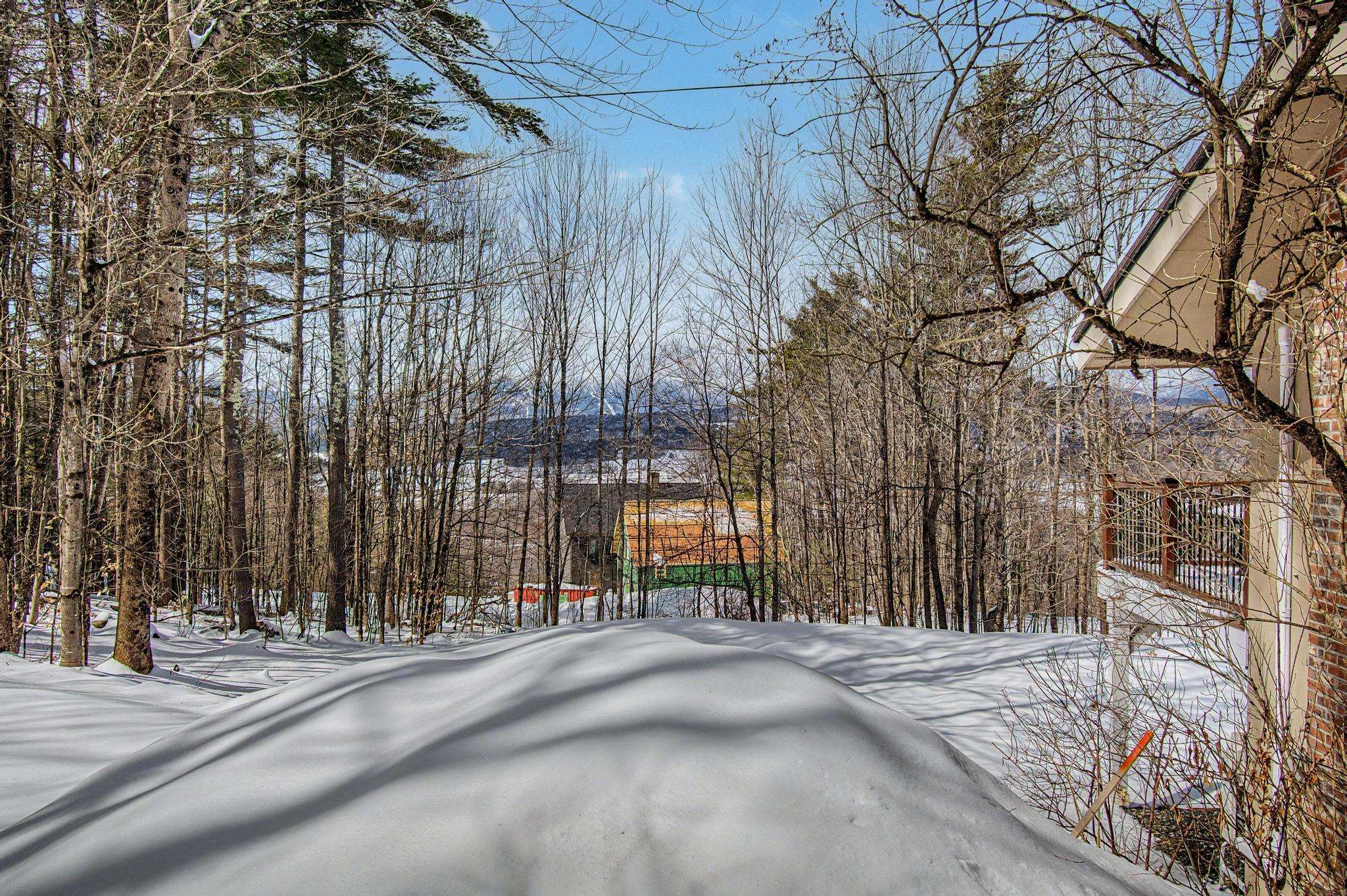 221 Brush Hill Road Property Photo 39