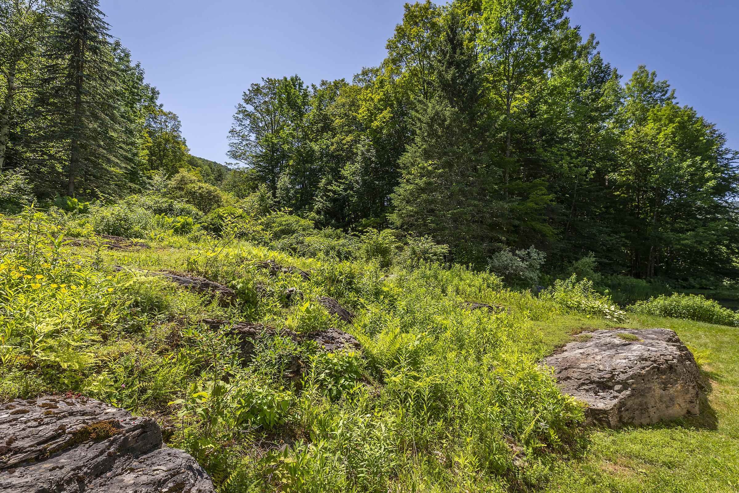 397 Fern Hill Property Photo 51
