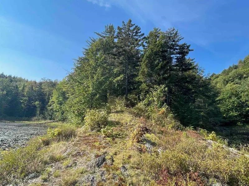 00 Brown Road Property Photo 10