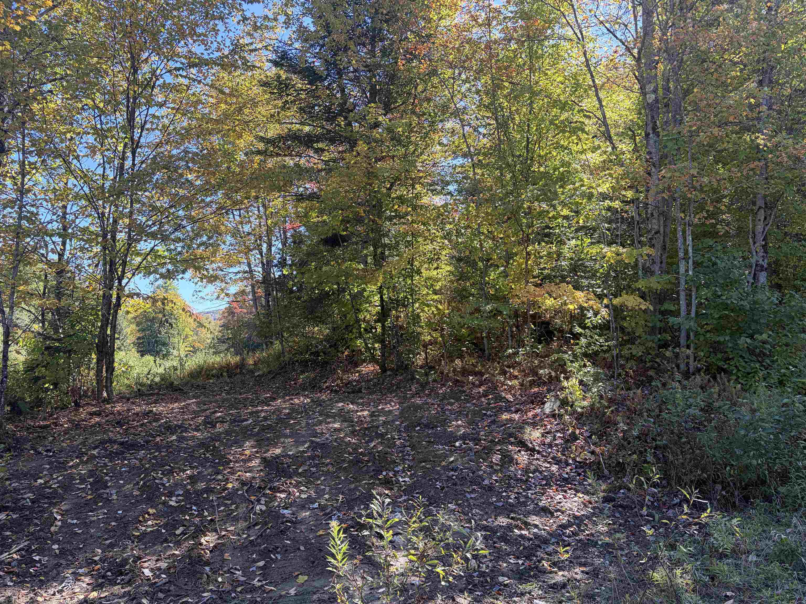 00 Brown Road Property Photo 11
