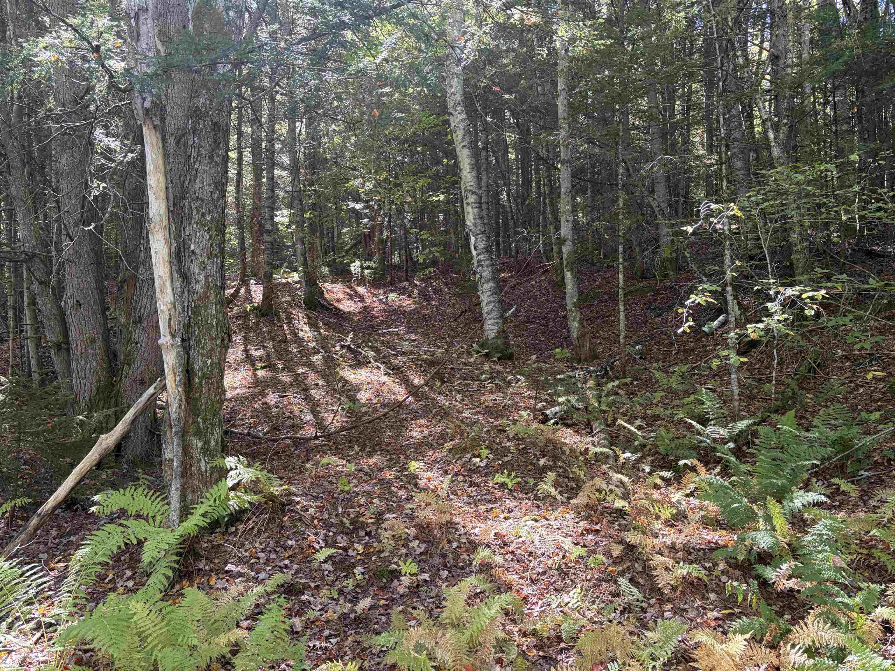 00 Brown Road Property Photo 13