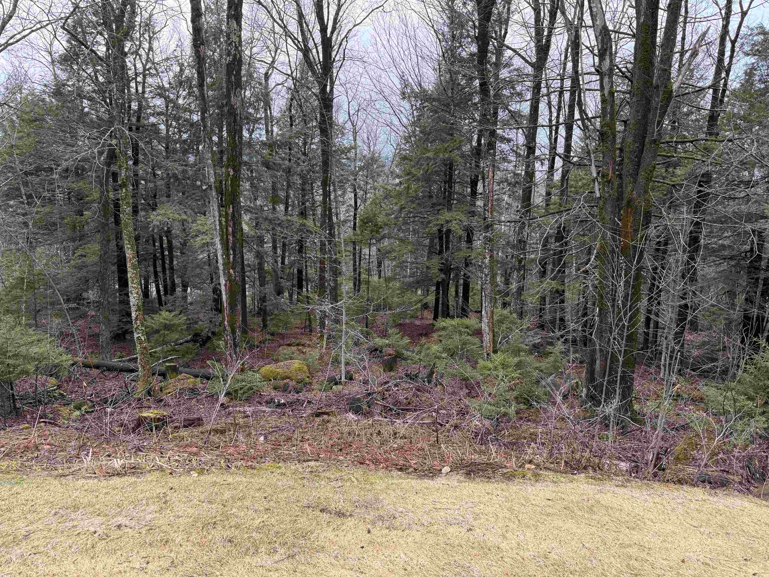 6d White Oaks Loop Property Photo 22