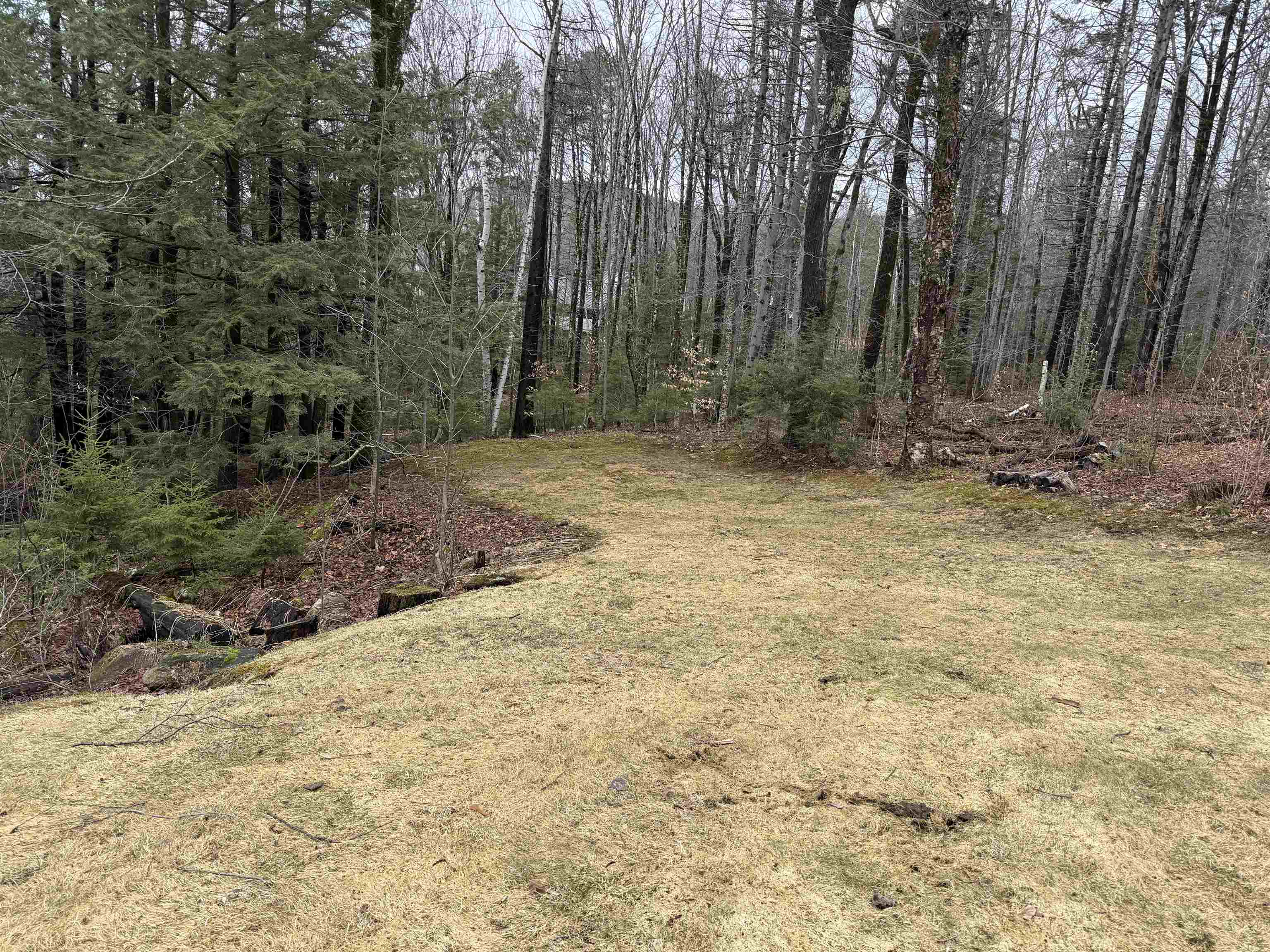 6d White Oaks Loop Property Photo 23