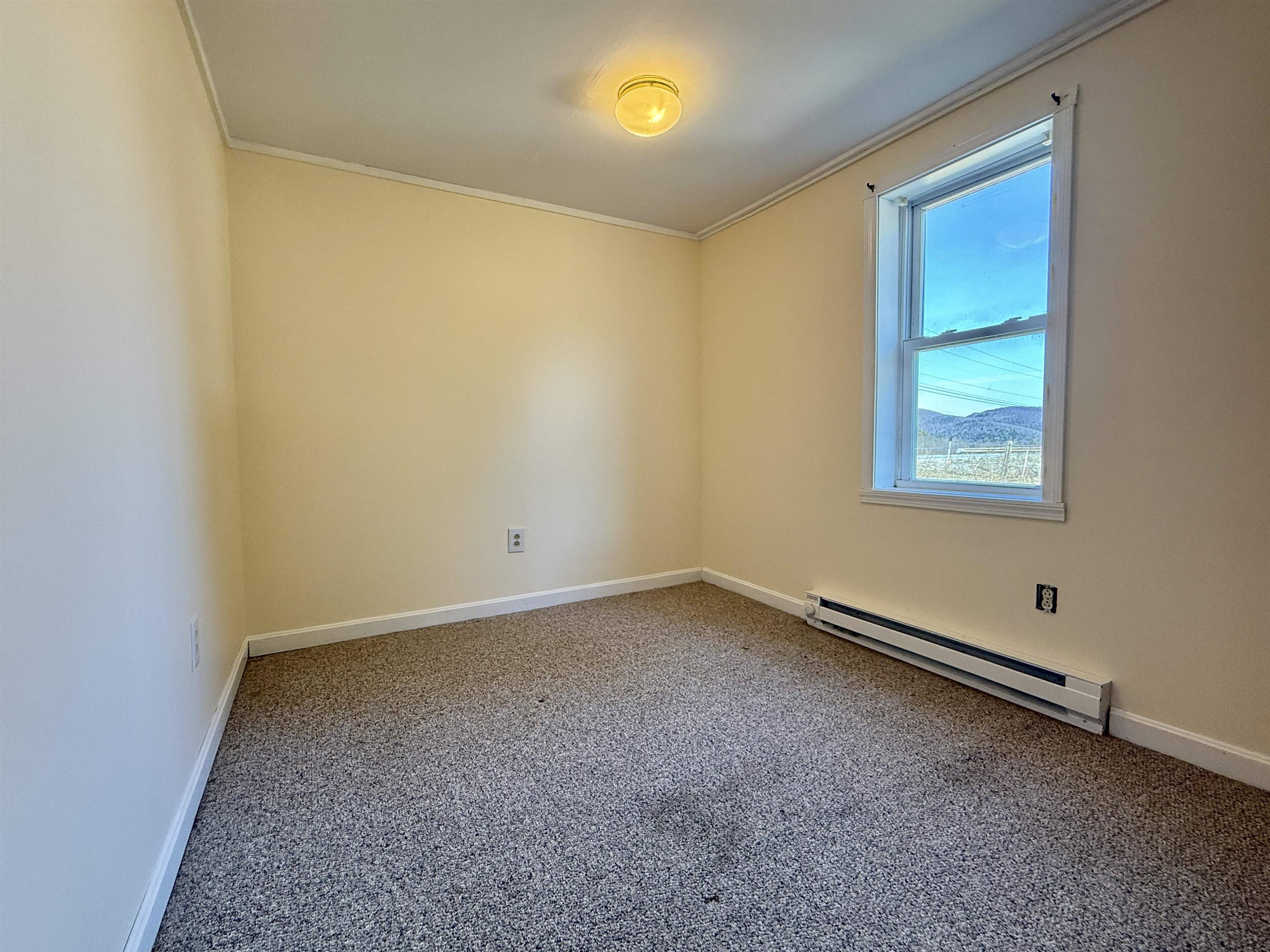 4711 Main Road Property Photo 22