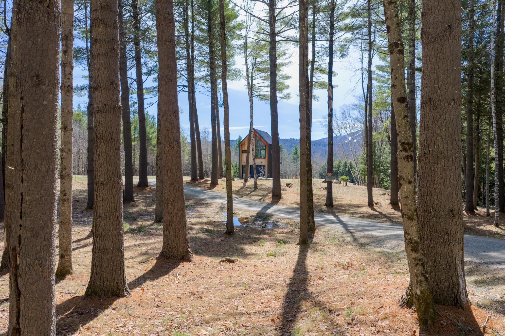 109 Winhall Hollow Road Property Photo 4