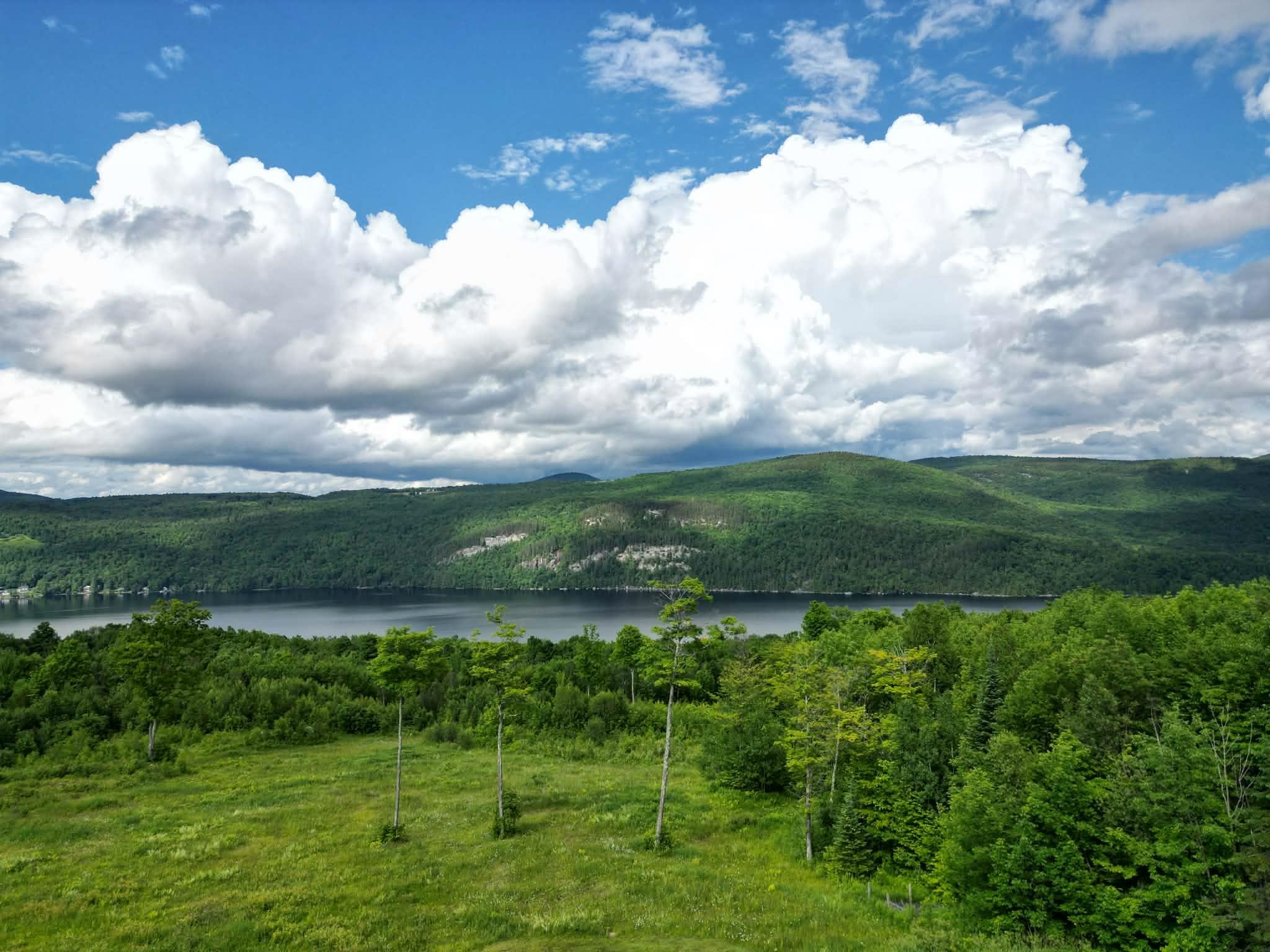 2171 Duck Pond Road Property Photo 5