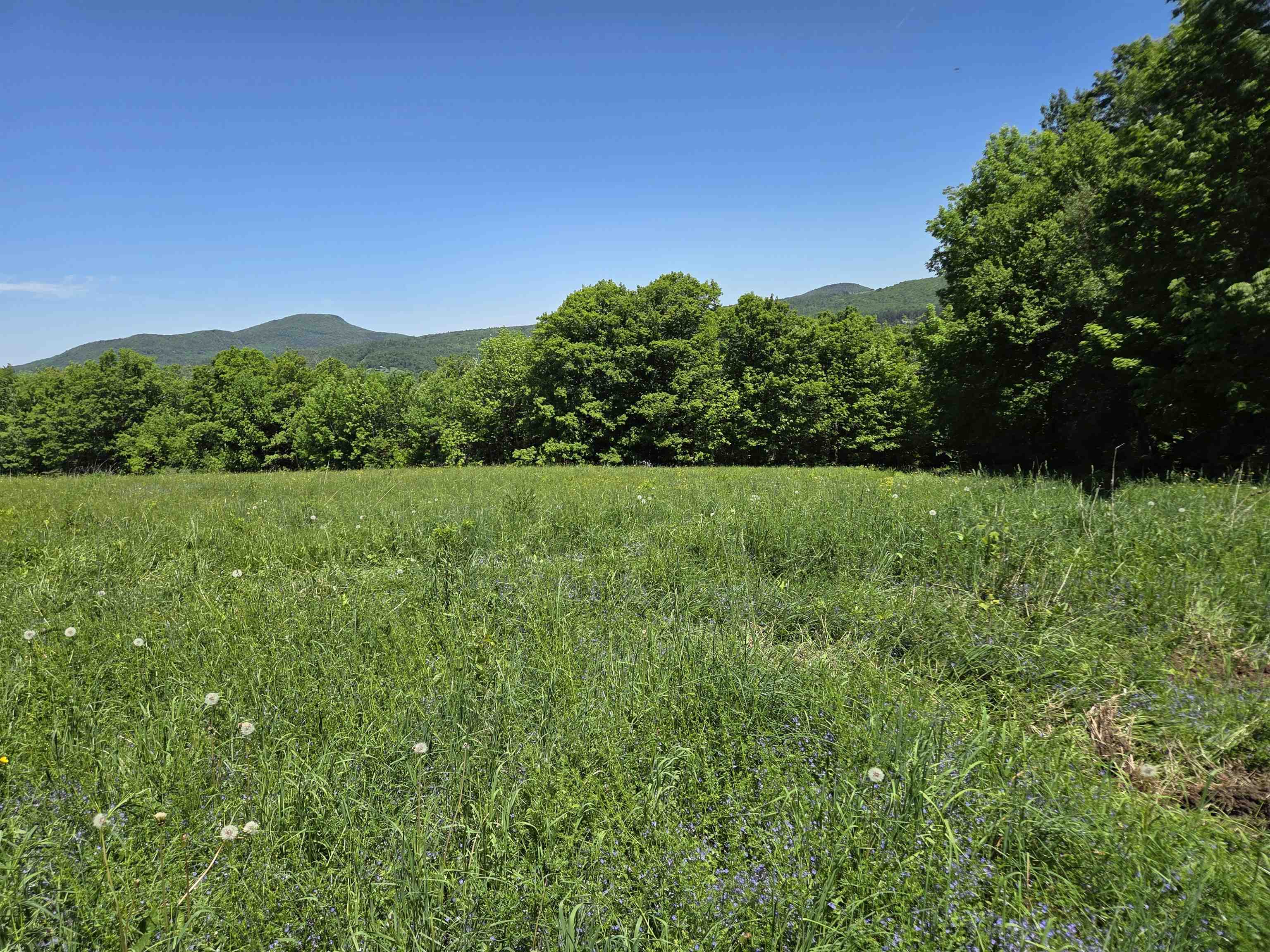 2171 Duck Pond Road Property Photo 42
