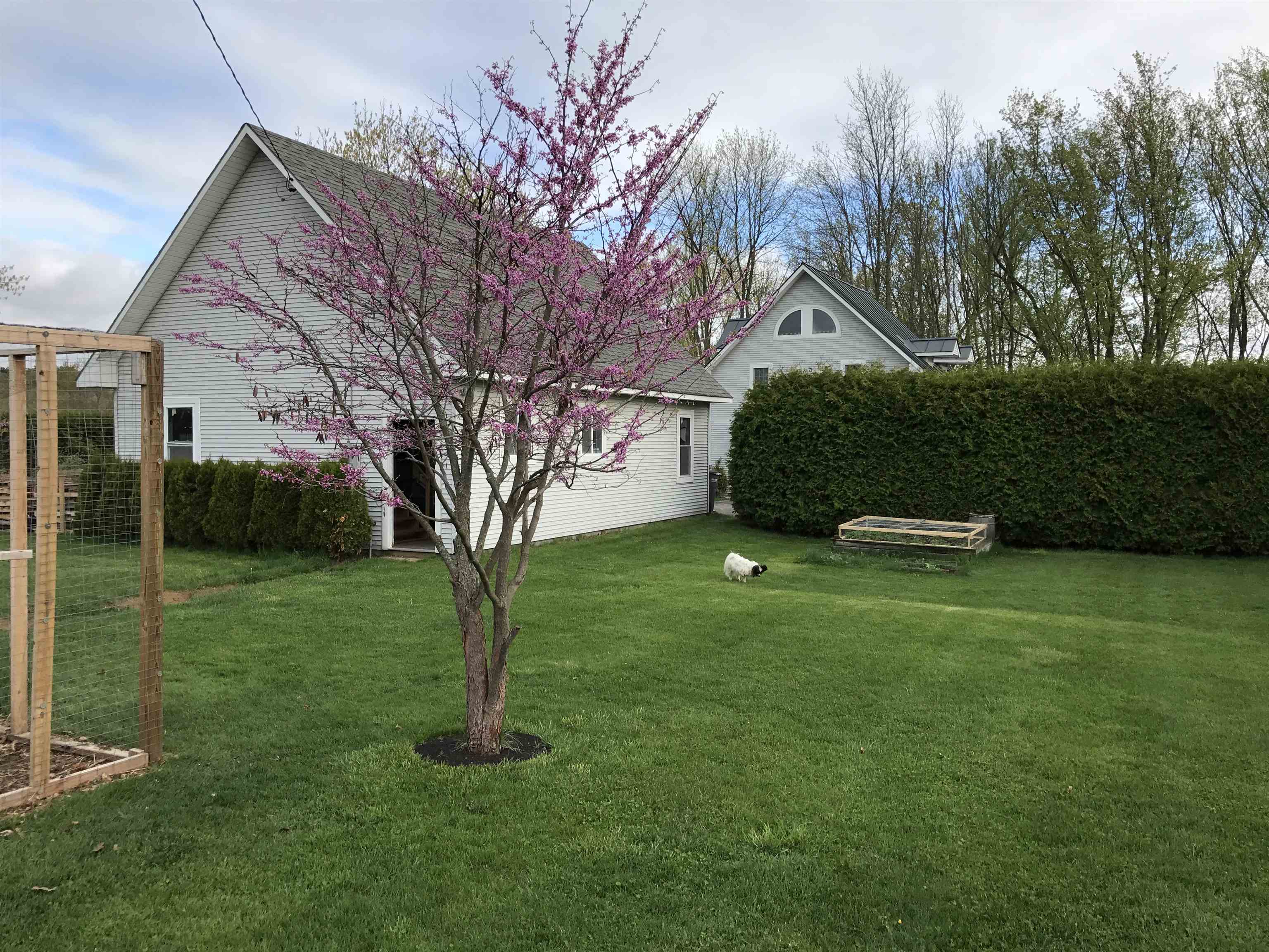 217 Ferry Road Property Photo 3