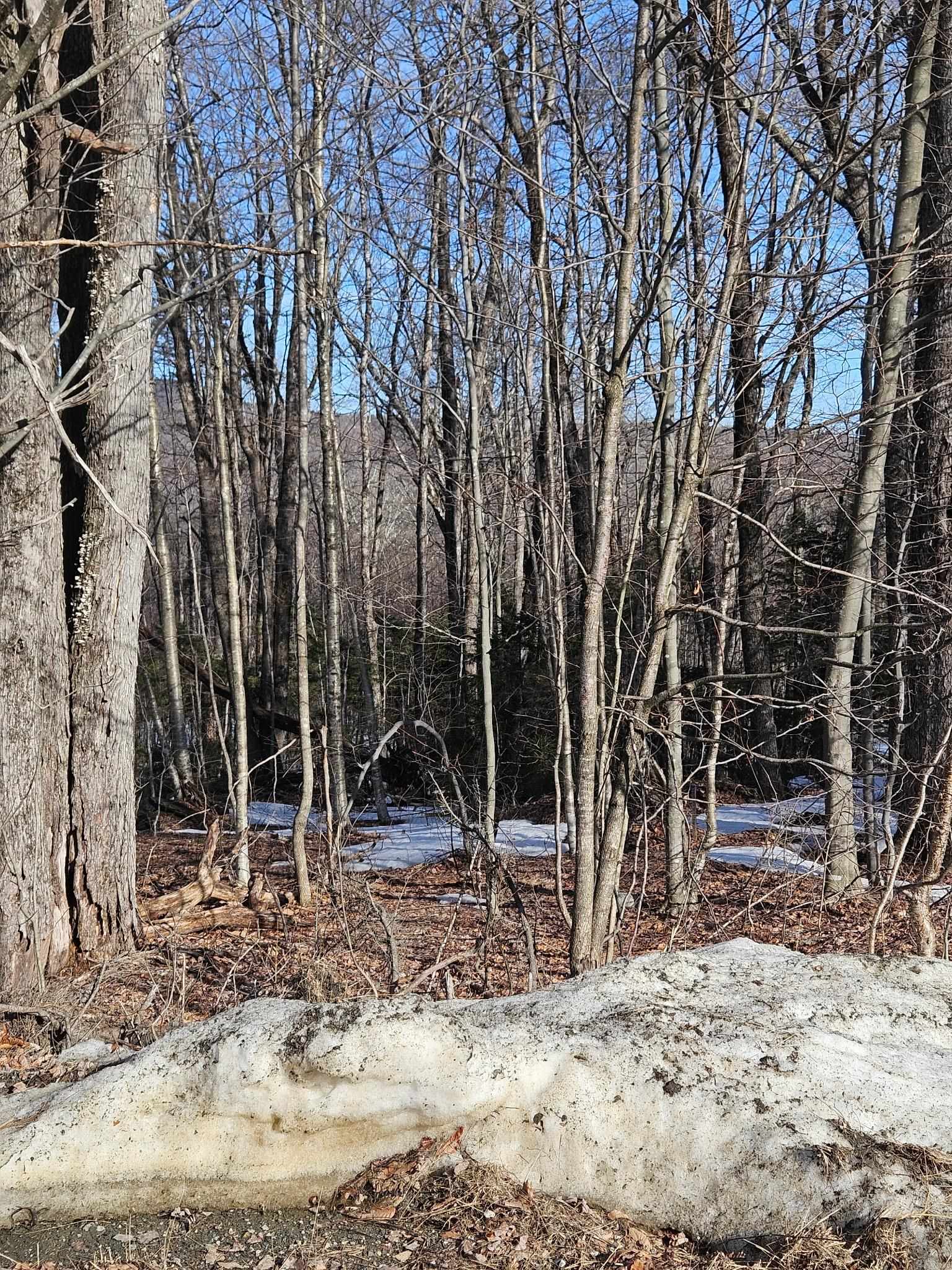 2 Johnson Hill Property Photo 1