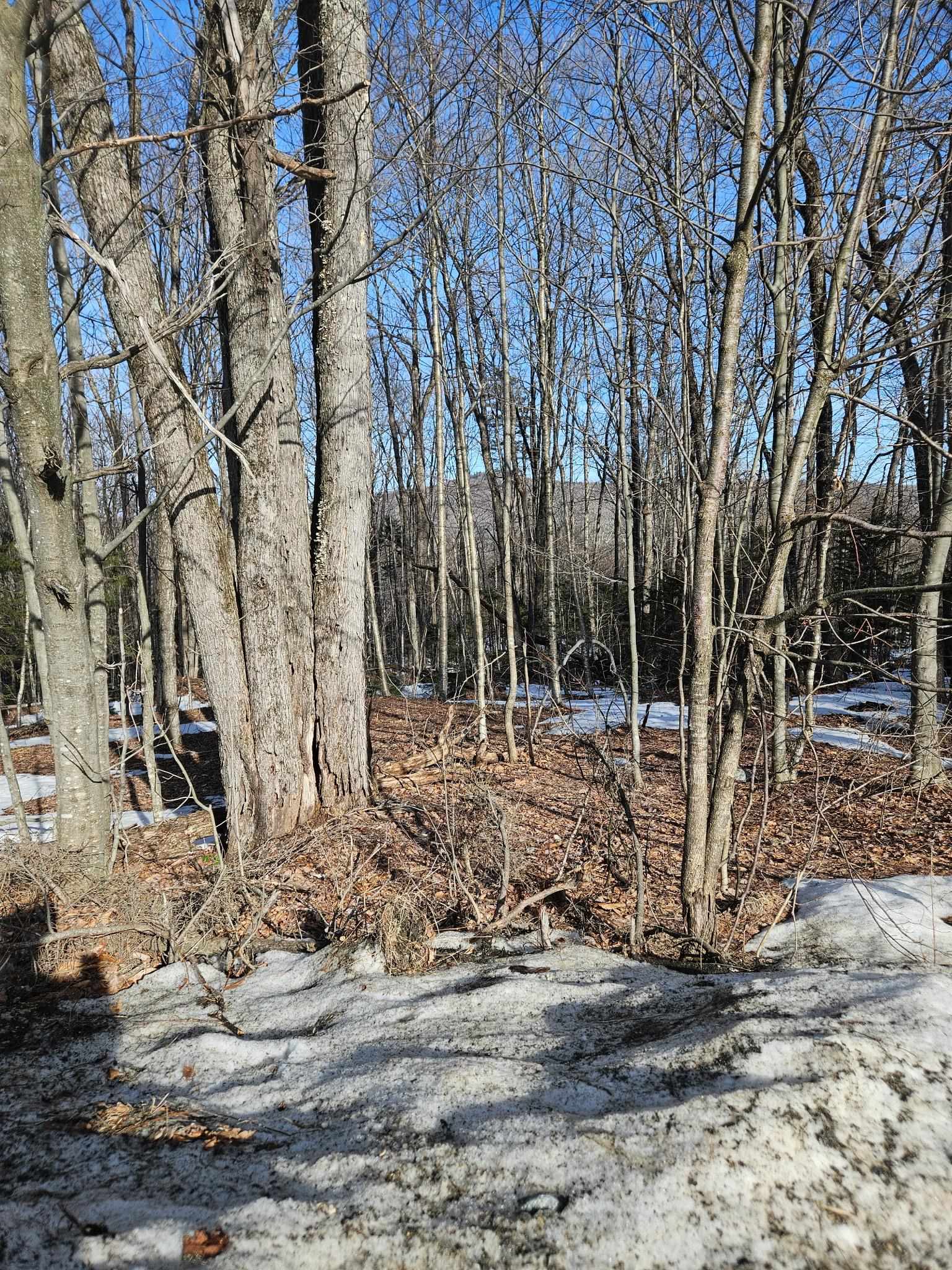 2 Johnson Hill Property Photo 5