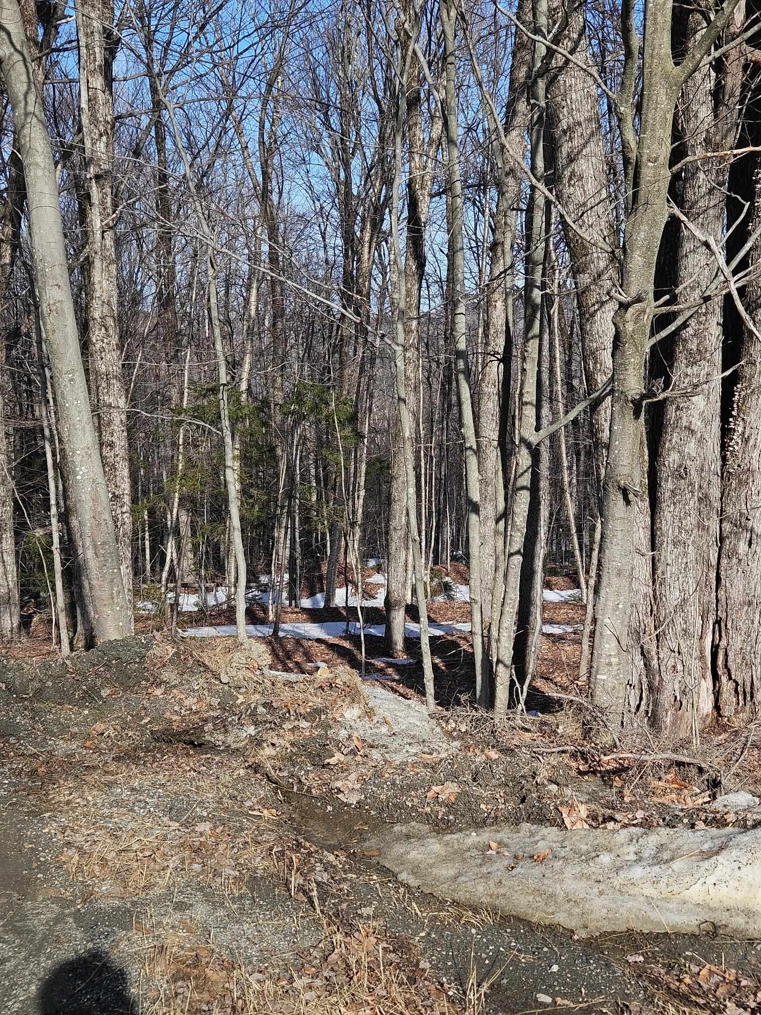 2 Johnson Hill Property Photo 8