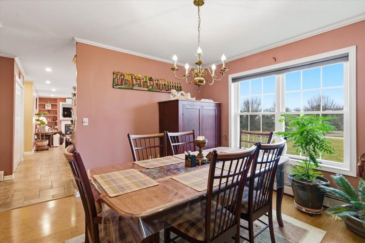 11 Floral Street Property Photo 17