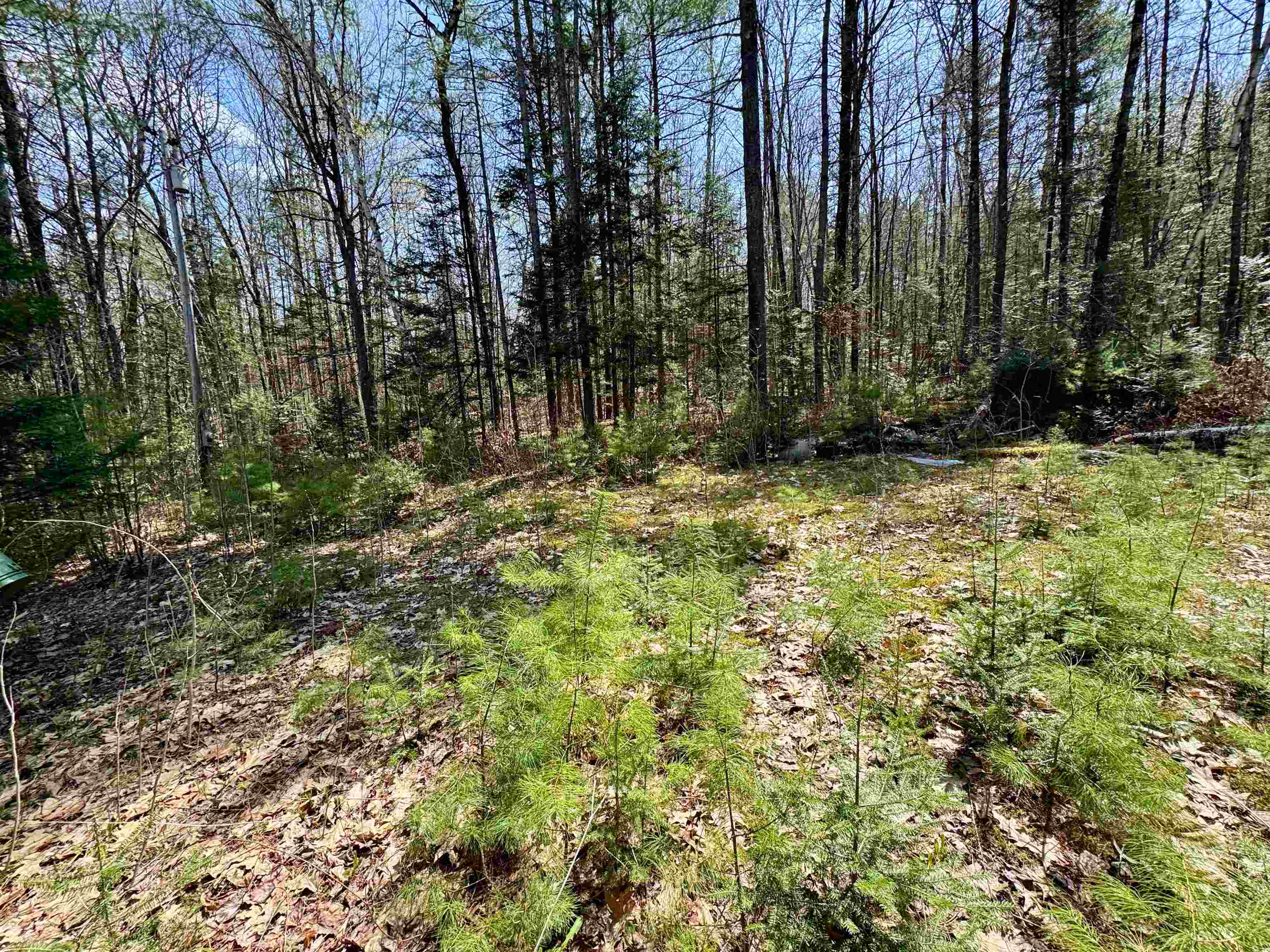 3826 Leighton Hill Road Property Photo 1