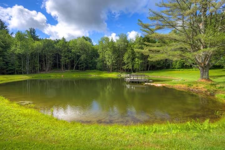 65 Bentley Lane Property Photo 35