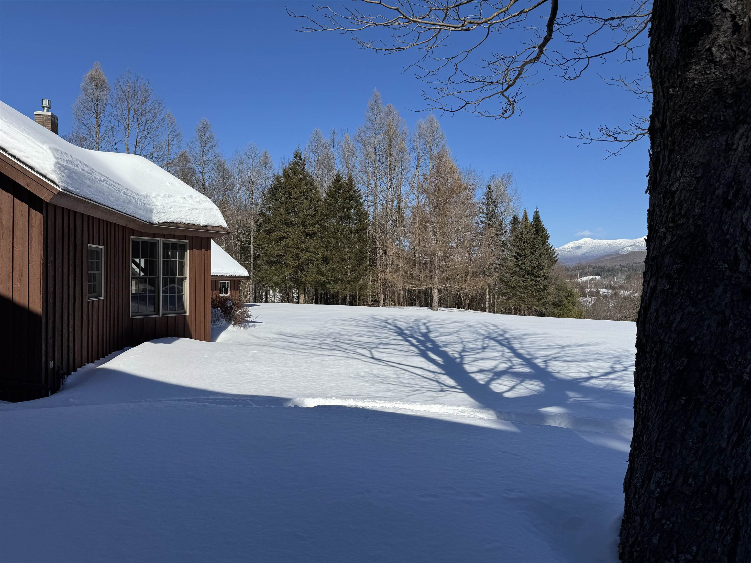 65 Bentley Lane Property Photo 39