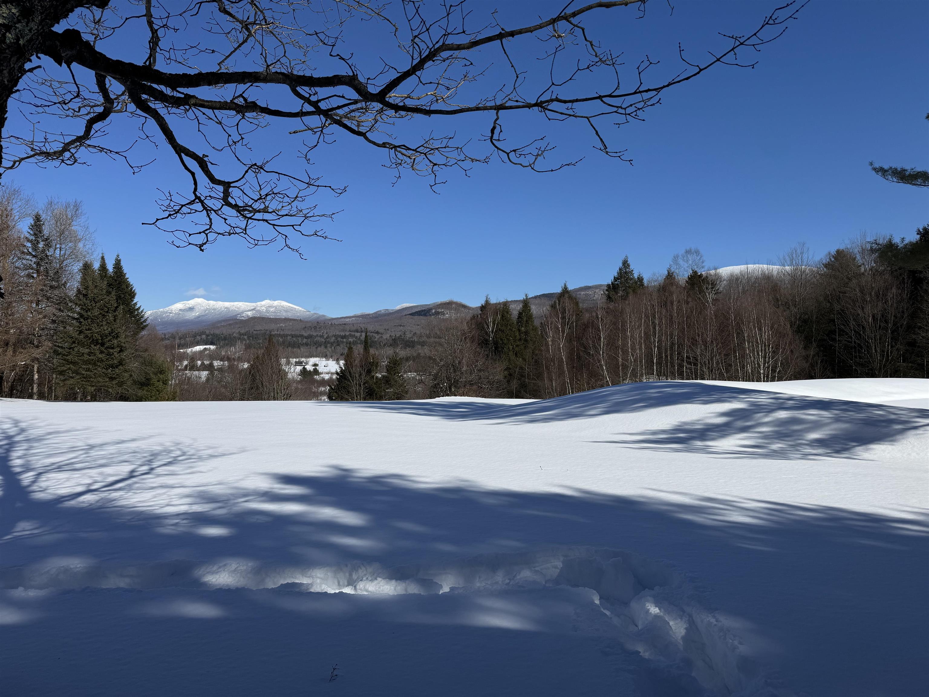 65 Bentley Lane Property Photo 40