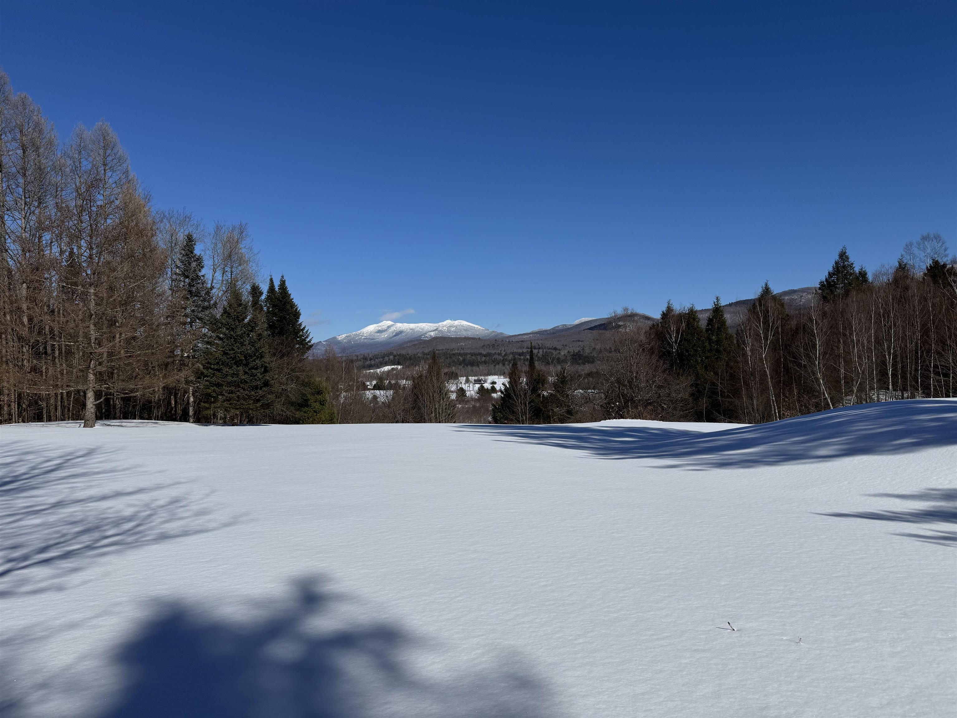 65 Bentley Lane Property Photo 41
