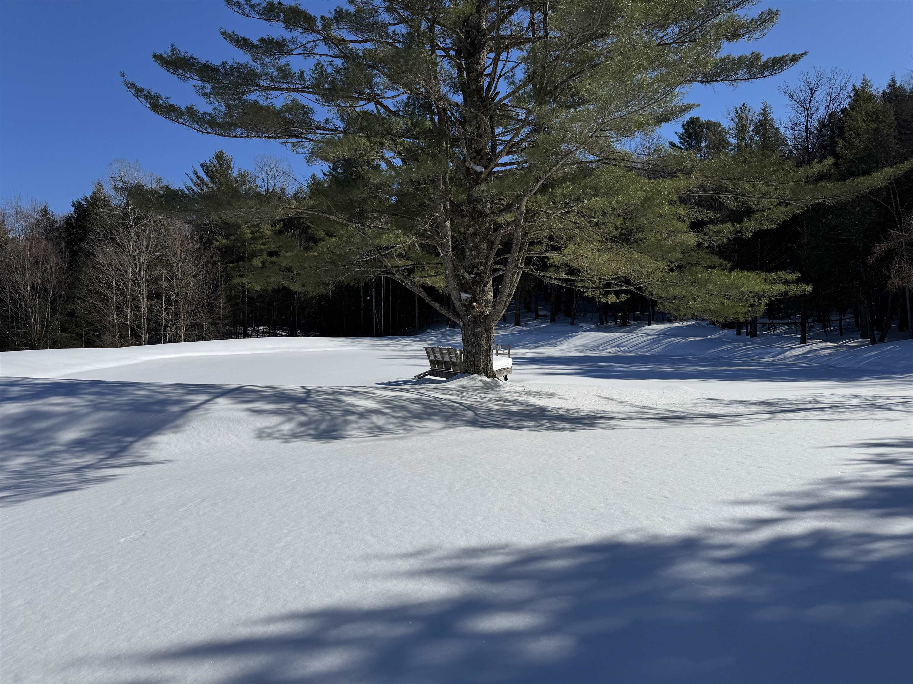 65 Bentley Lane Property Photo 42