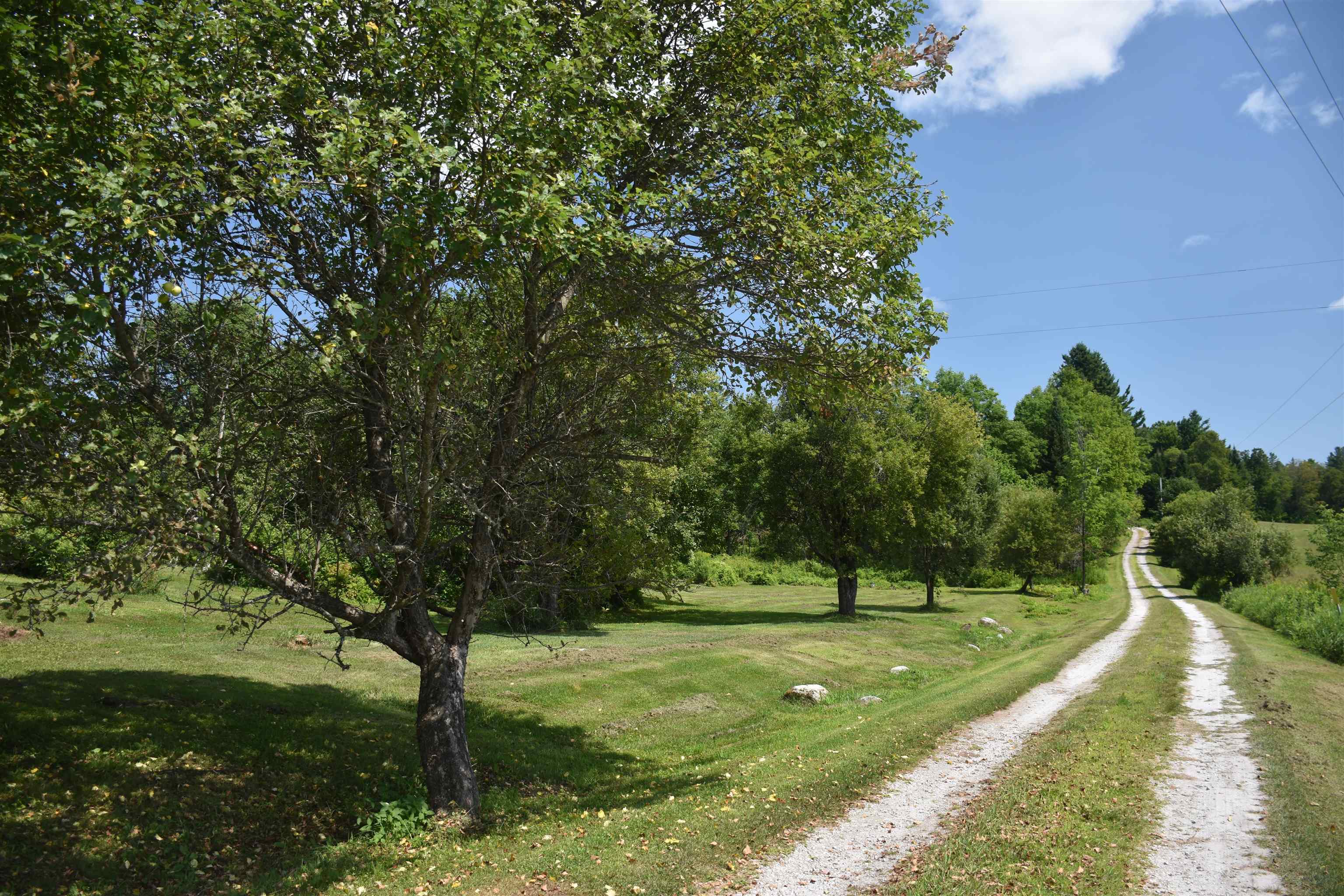 1078 Brook Road Property Photo 37