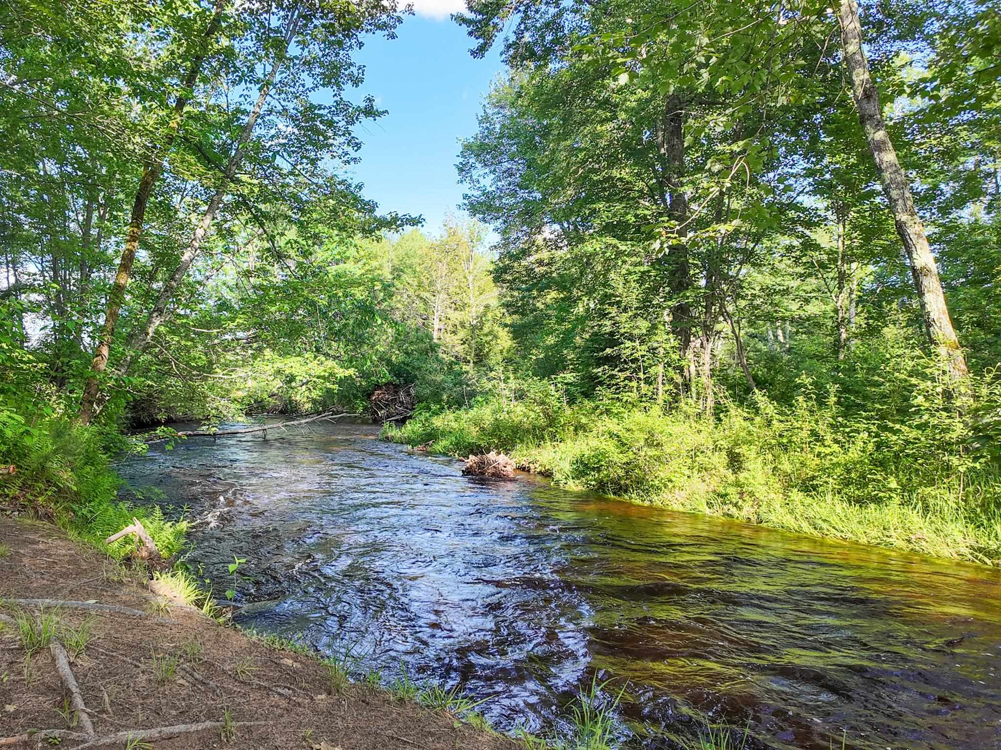 Map 264 Lot 65 Oxbow Lane Property Photo 13