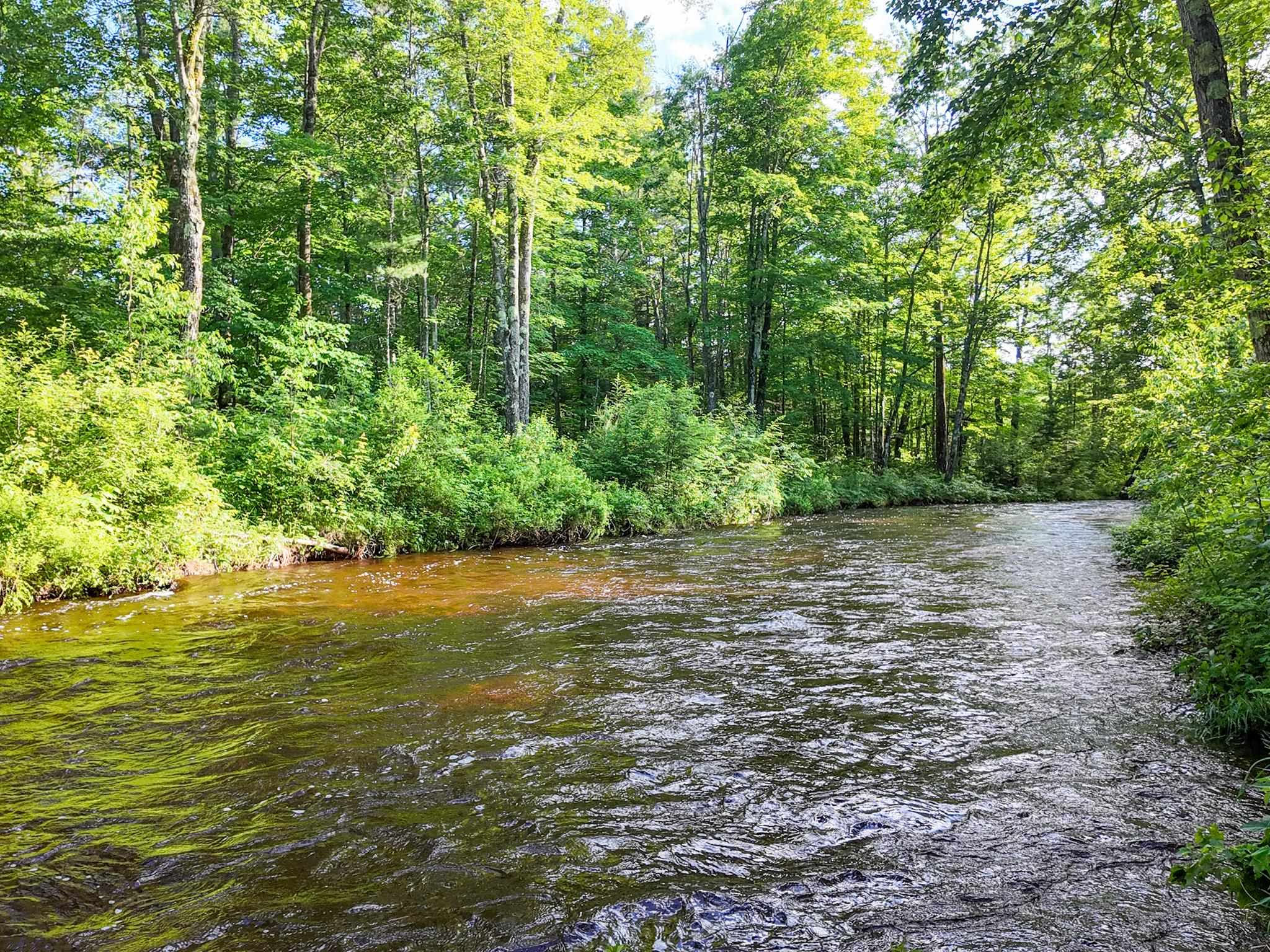 Map 264 Lot 65 Oxbow Lane Property Photo 14