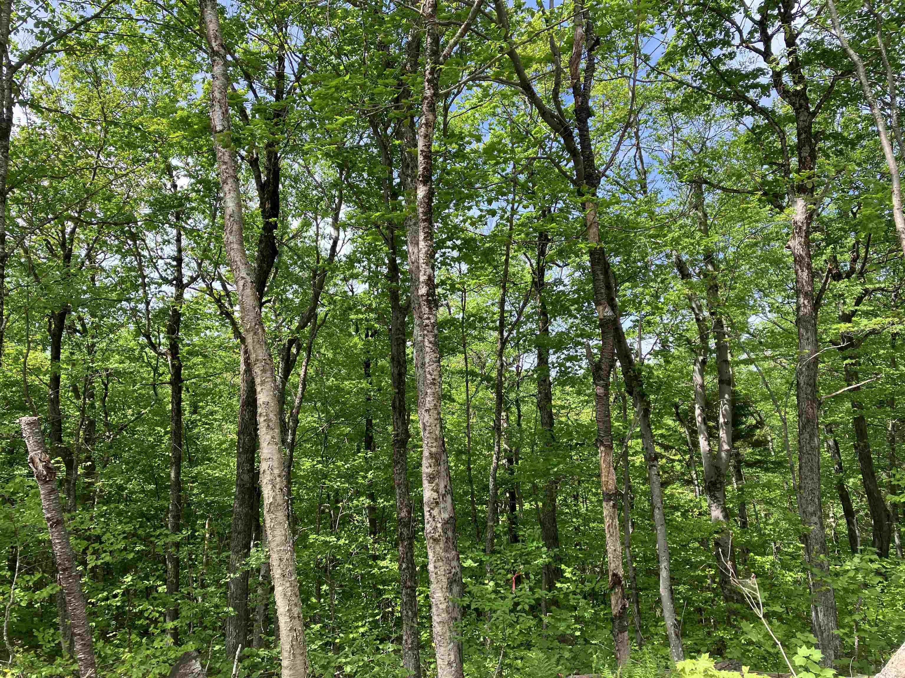 404 Fox Mt Road Property Photo 1