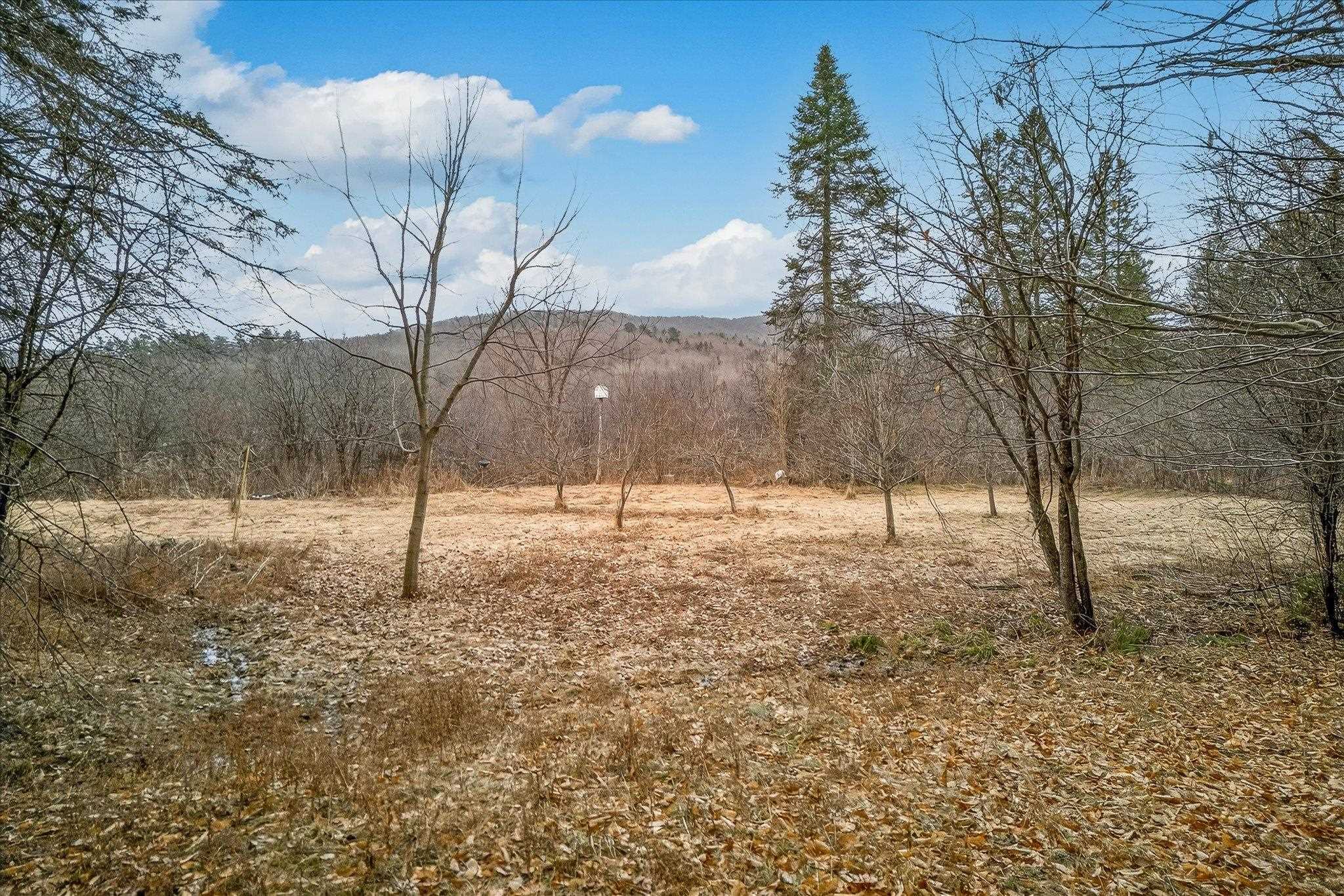 1343 Chelsea Road Property Photo 11